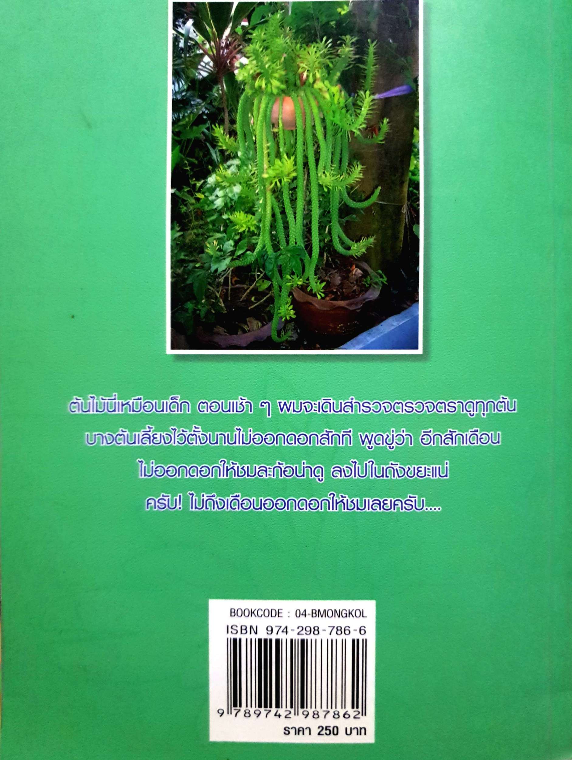 ต้นไม้ในบ้าน ไม้มงคล วิริยะ สิริสิงห์
