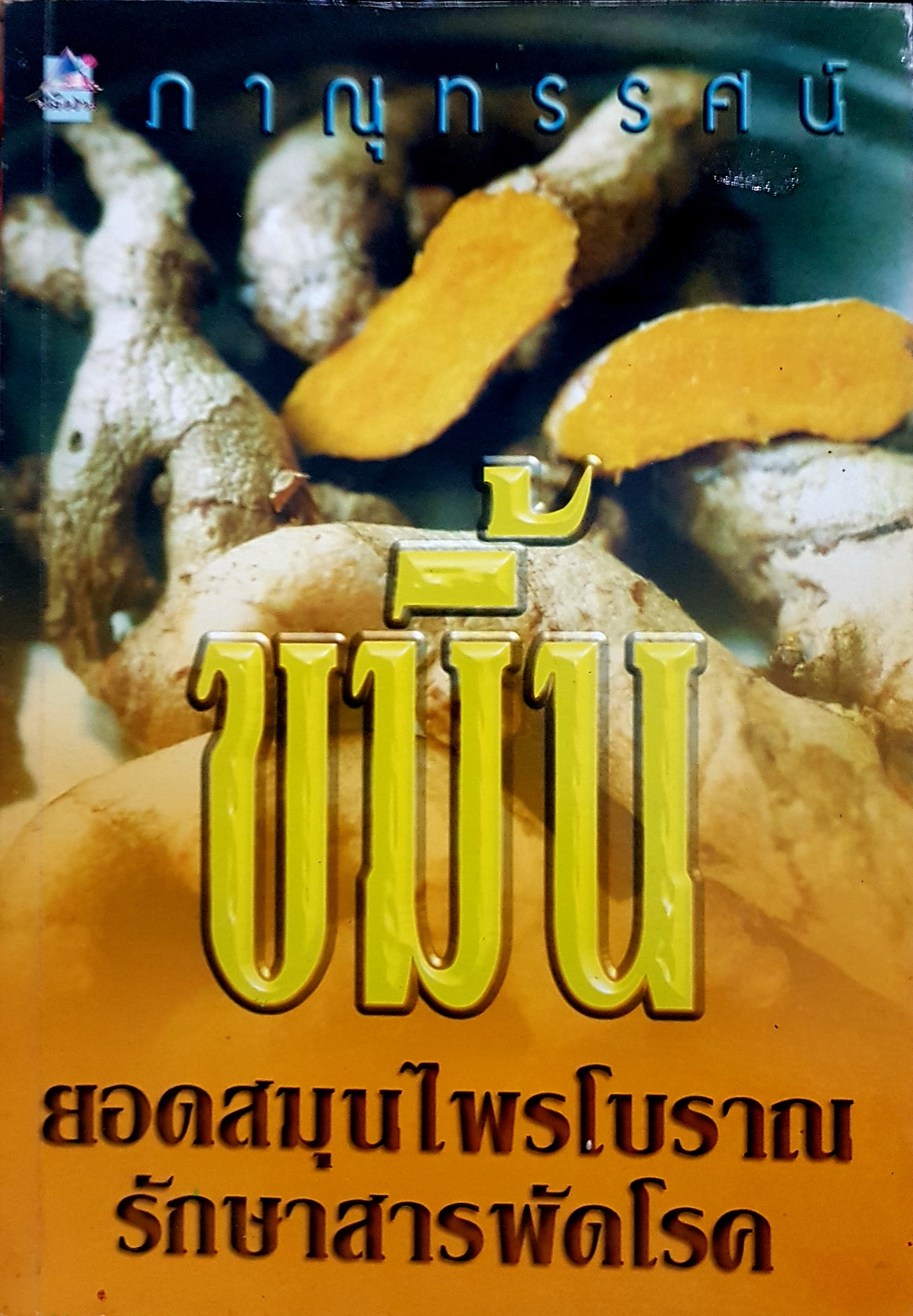 ขมิ้น ยาสมุนไพรโบราณ รักษาสารพัดโรค ภาณุทรรศน์