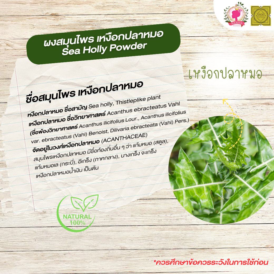 ผงเหงือกปลาหมอ (Sea Holly Powder) ขนาด 500 1000 กรัม เหงือกปลาหมอ บดละเอียด สมุนไพร แท้ 100% FG-HBP-096