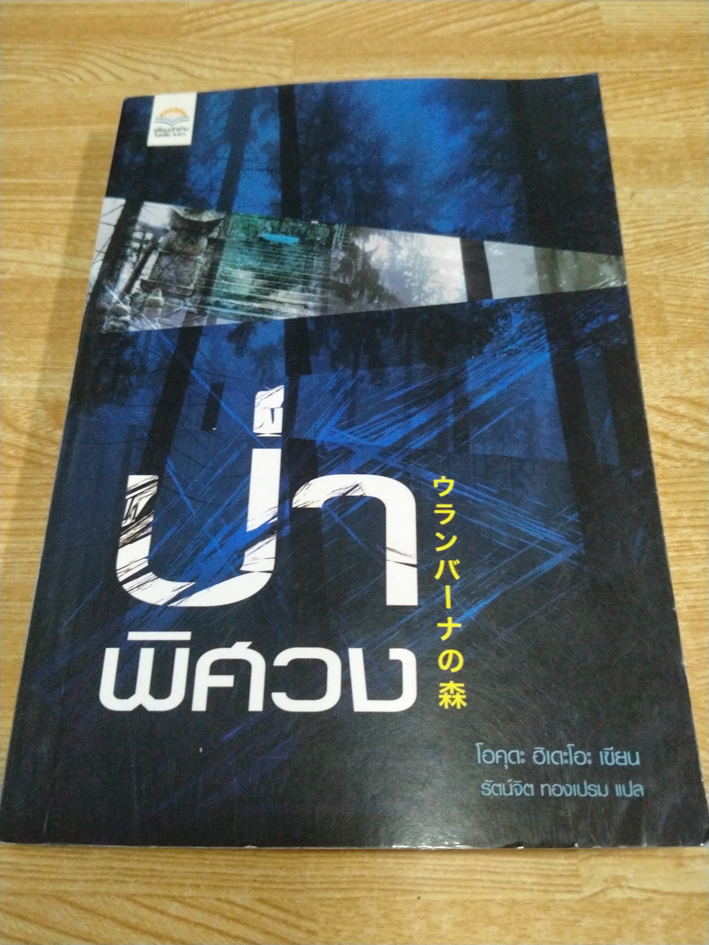 ป๋าพิศวง