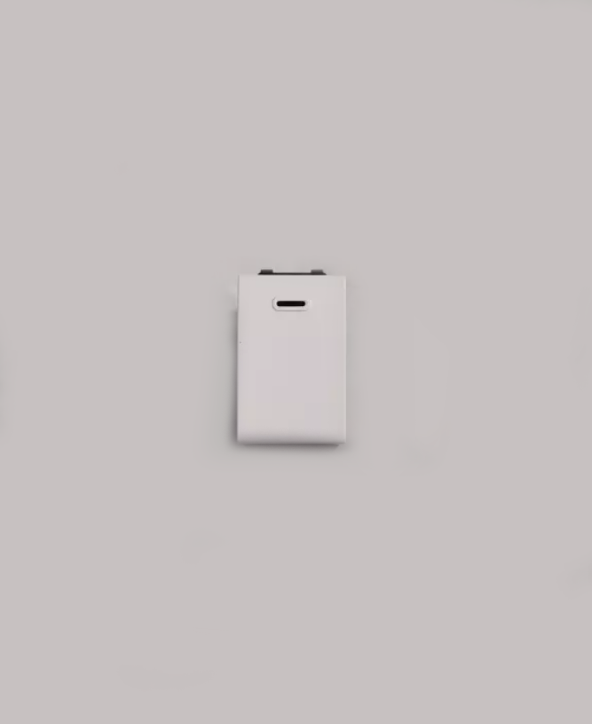 สวิตช์ฝัง ช้าง