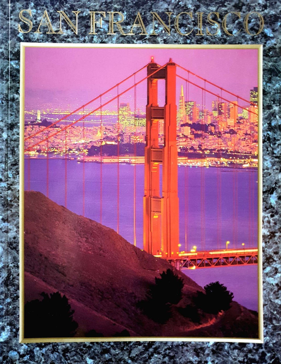 SANFRANCISCO • Lonely Planet : Travel Guide