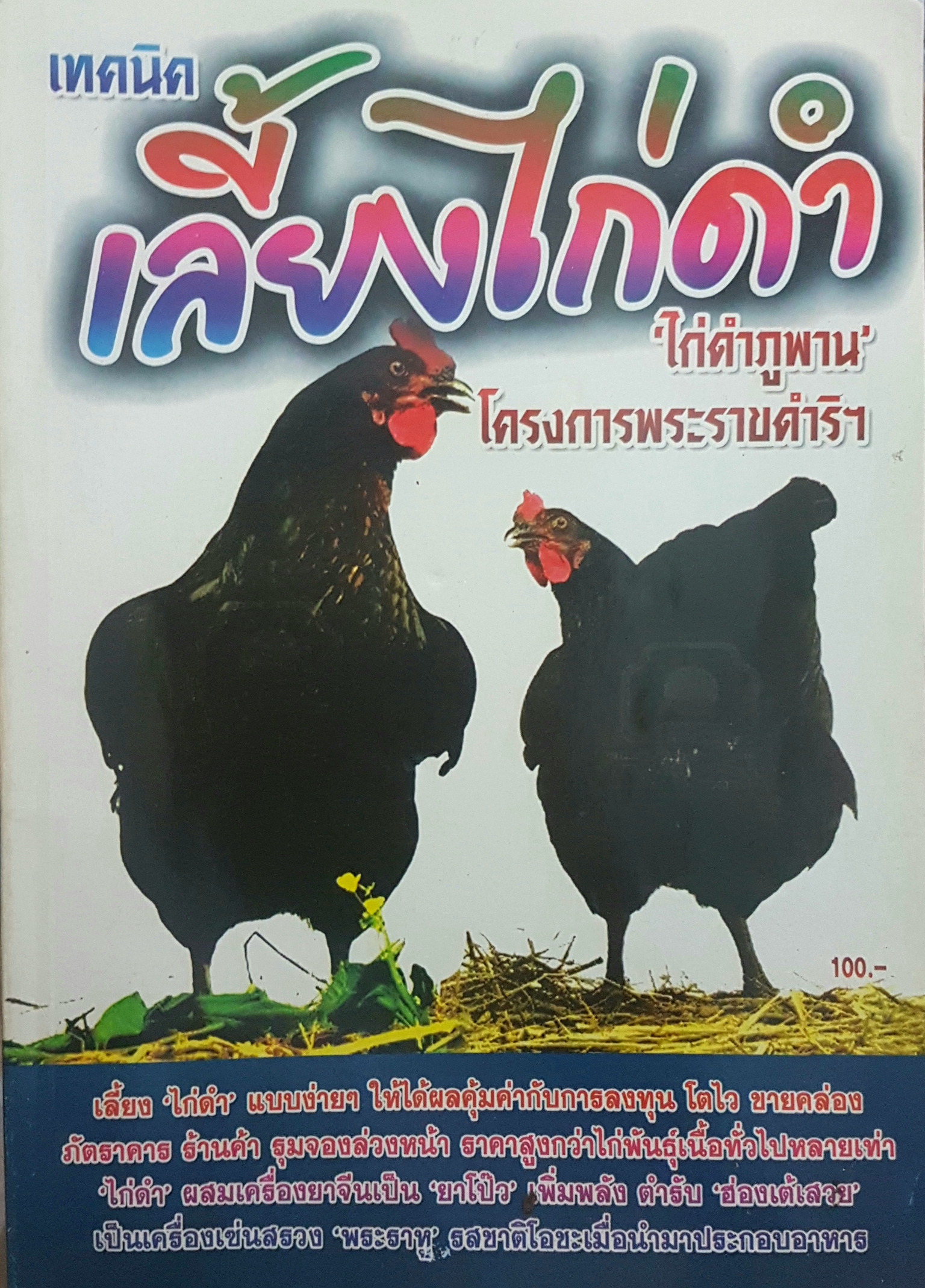 เทคนิคเลี้ยงไก่ดำ "ไก่ดำภูพาน" โครงการพระราชดําริ
