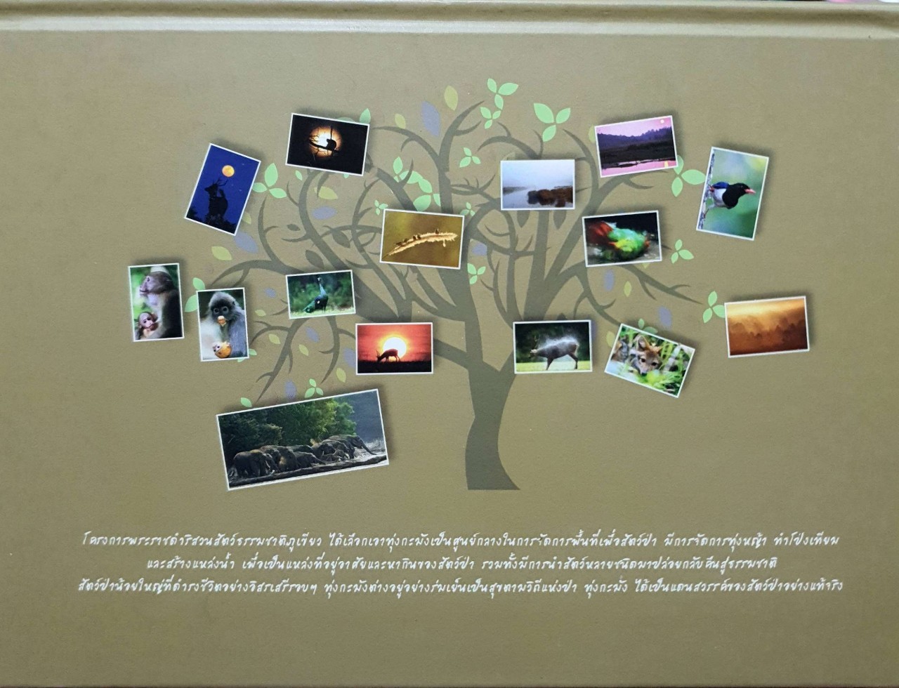 ทุ่งกะมัง แดนสวรรค์ของสัตว์ป่า : โครงการพระราชดำริสวนสัตว์ธรรมชาติภูเขียว (ปกแข็ง)