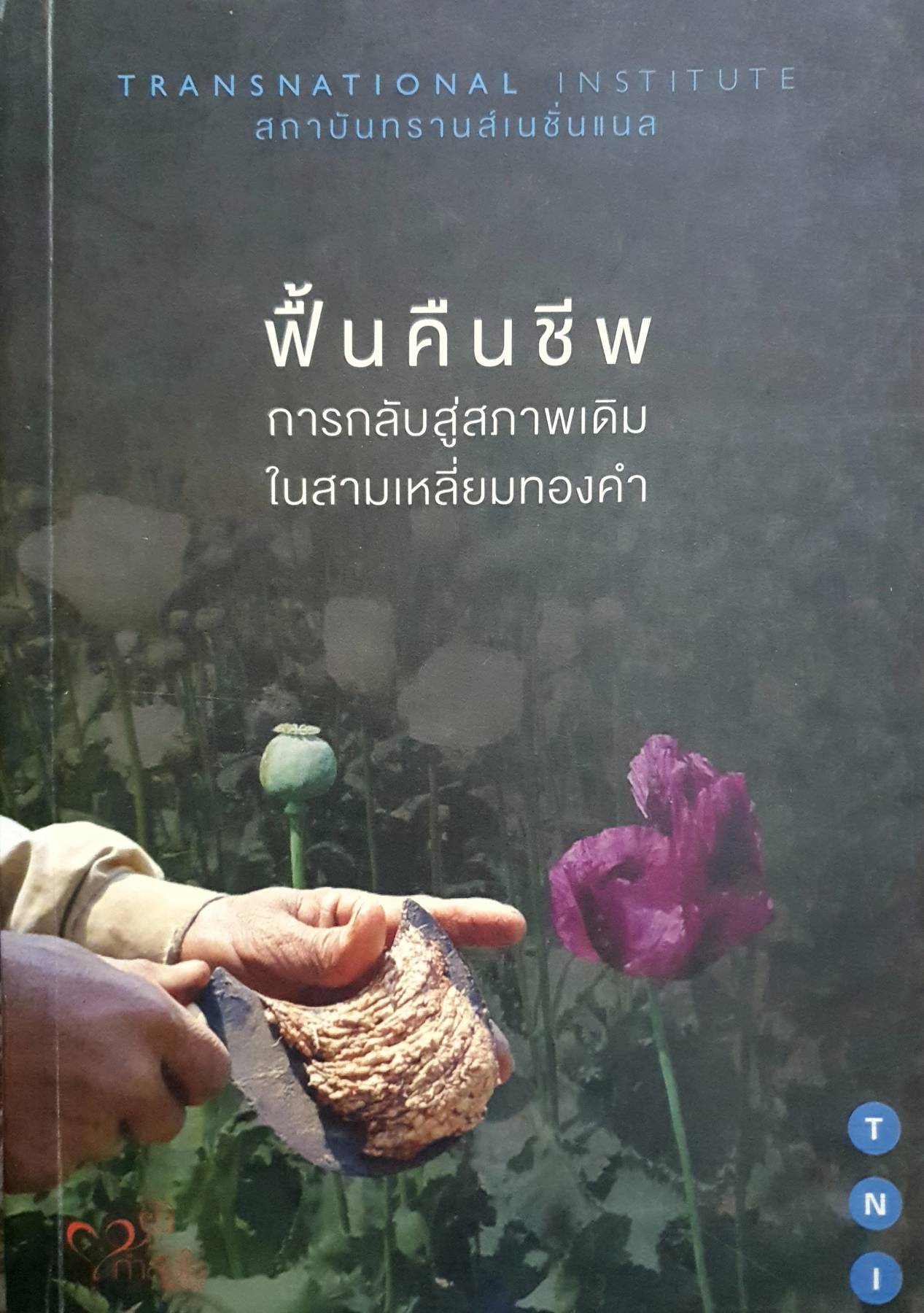 ฟื้นคืนชีพ การกลับสู่สภาพเดิม ในสามเหลี่ยมทองคำ