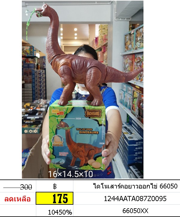 ไดร์โนเสาร์คอยาวออกไข่ 66050