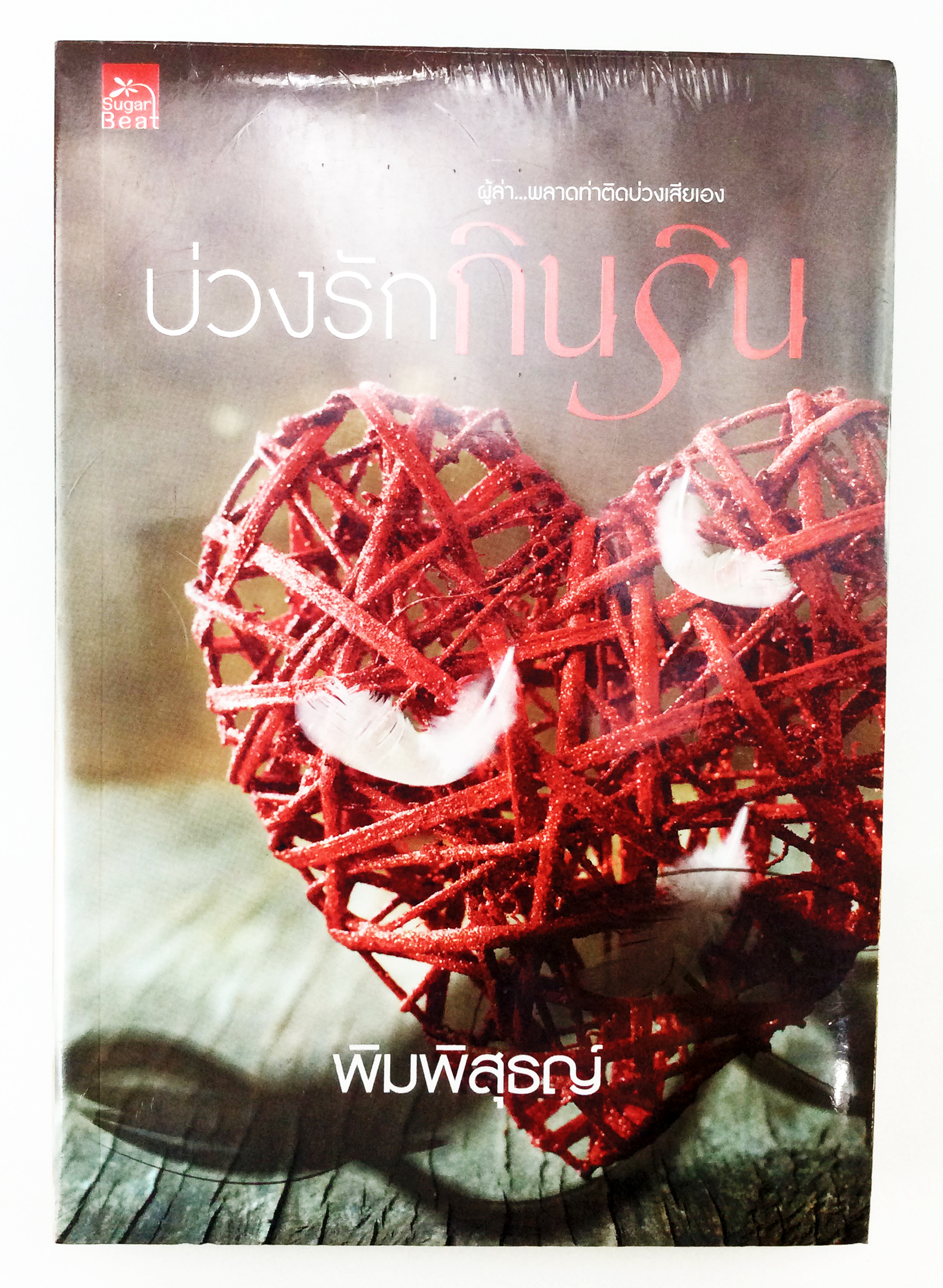 บ่วงรักกินริน นิยาย นิยายลดราคา หนังสือ นิยาย