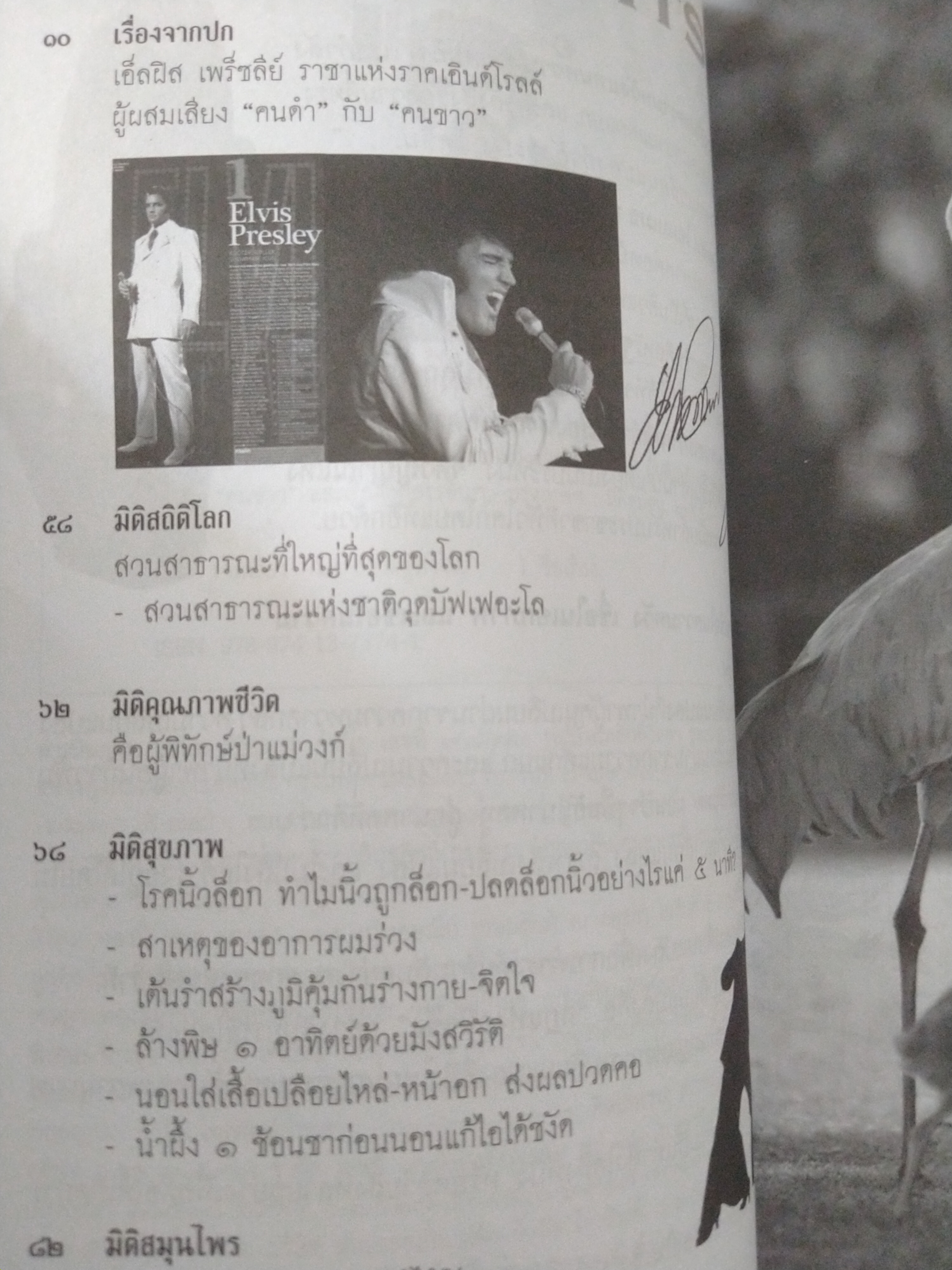 มิติชุมชน 31 เอลฝิส เพร็ซลีย์