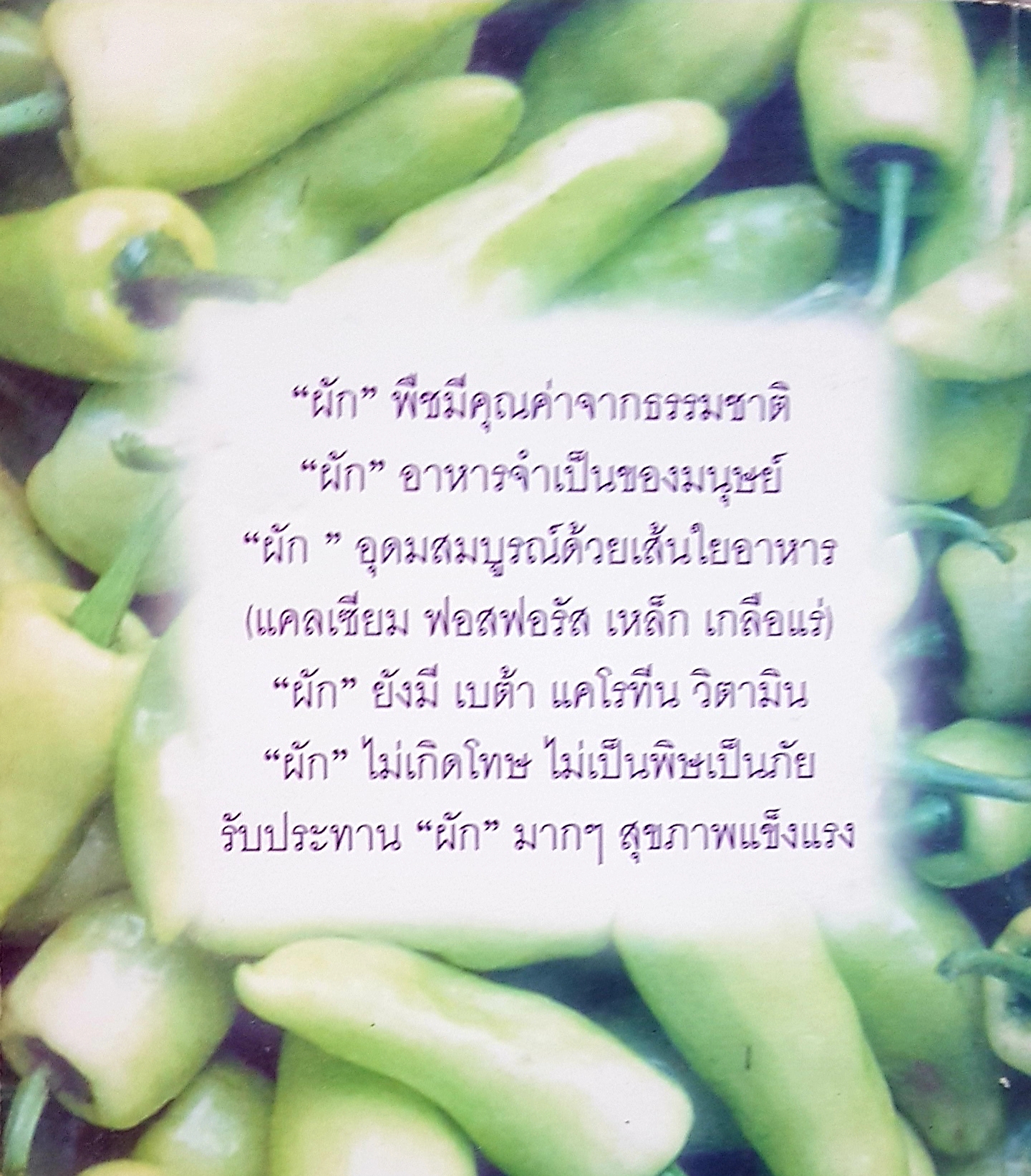 ผัก โภชนาการสูง คุณค่าจากธรรมชาติ สารอาหารที่ดีเยี่ยม ปลอดโรคภัยไข้เจ็บ / ธัญนีต์ สิมะโรจน์