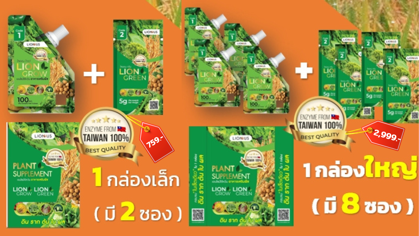 Lion Green + Lion Grow นวัตกรรมอาหารเสริม บำรุงพืชจากธรรมชาติ ช่วยลดต้นทุน เพิ่มผลผลิต และปลอดภัยต่อสิ่งแวดล้อม Lion Green + Lion Grow นวัตกรรมอาหารเสริม บำรุงพืชจากธรรมชาติ ช่วยลดต้นทุน เพิ่มผลผลิต และปลอดภัยต่อสิ่งแวดล้อม