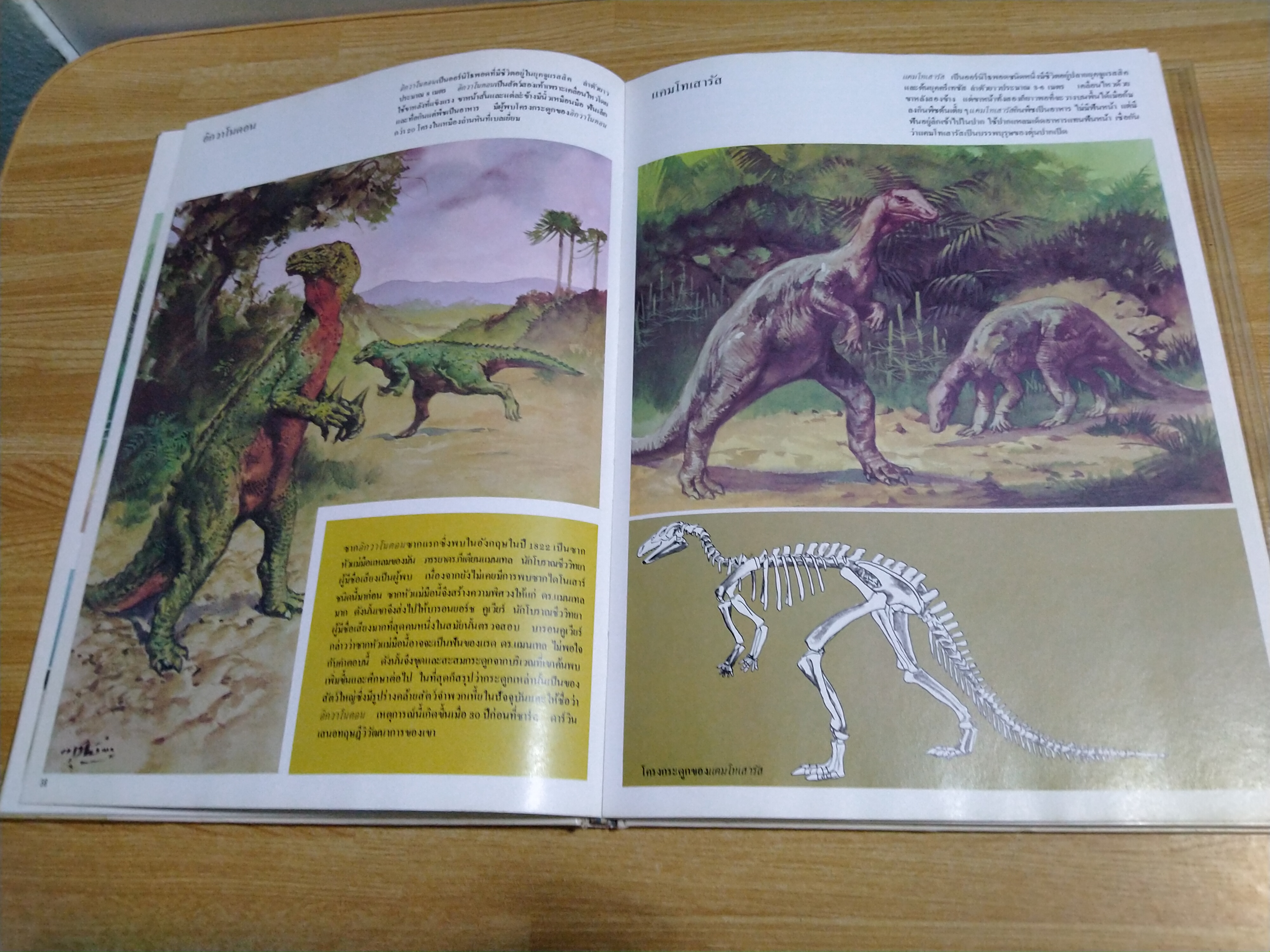 ขุมทรัพย์ความรู้สำหรับเด็ก ชีวิต ยุคก่อนประวัติศาสตร์