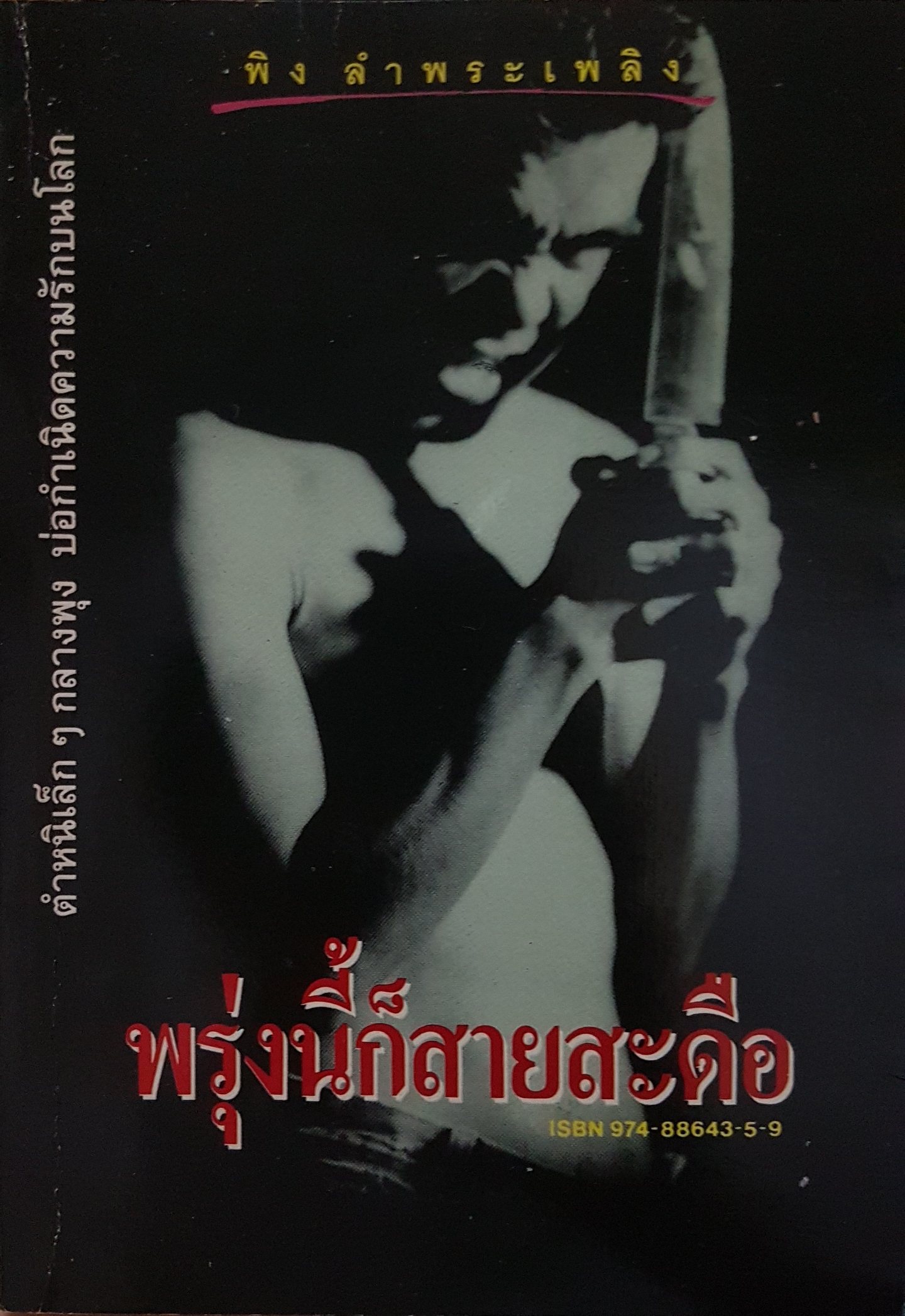 พรุ่งนี้ก็สายสะดือ พิง ลำพระเพลิง