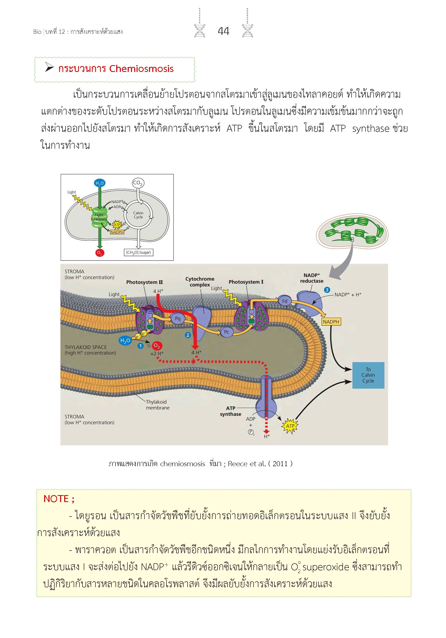 สรุปเข้ม ชีววิทยา เล่ม 2 (พิมพ์ 4 สี)