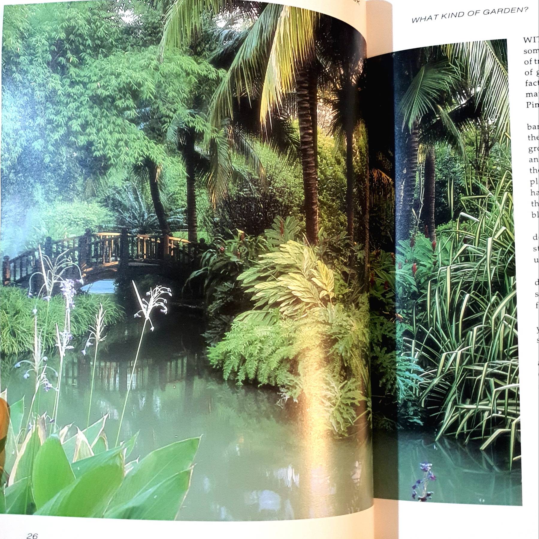 Gardening in Bangkok : Pimsai Amranand