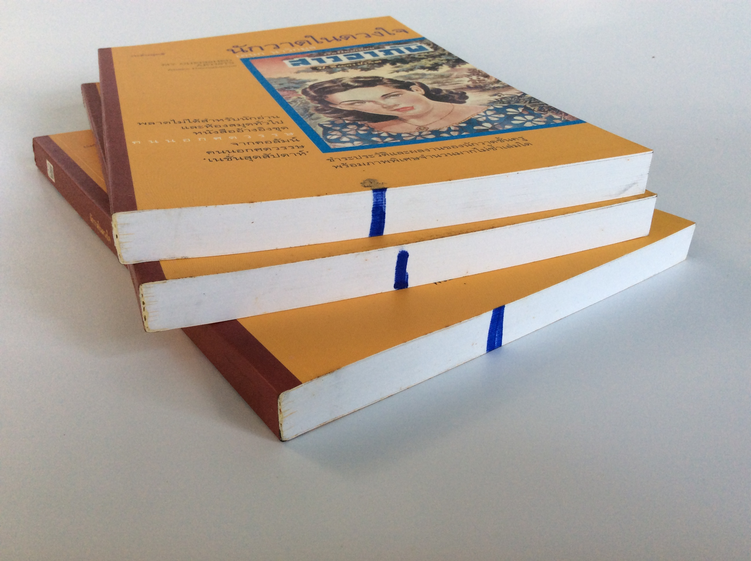 นักวาดในดวงใจ ชำระประวัติและผลงานของนักวาดชั้นครู หนังสือ ชีวประวัติ บุคคล