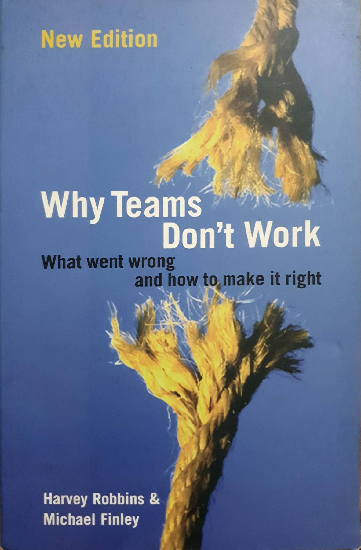 Why Teams Don't Work : What Went Wrong and How to Make It Right : Harvey Robbins and 1 more