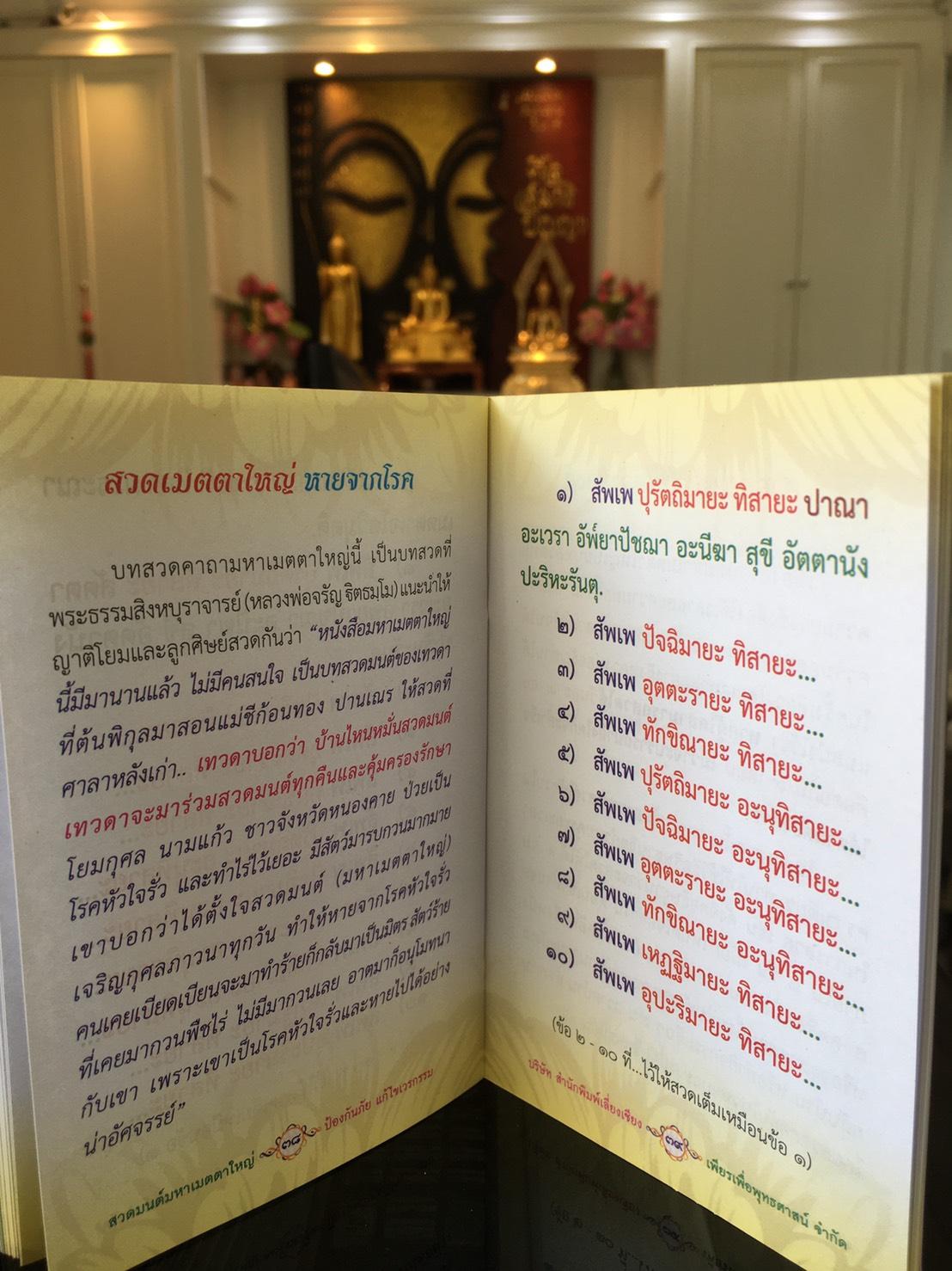 หนังสือสวดมนต์ มหาเมตตาใหญ่ ป้องกันภัย แก้ไขเวรกรรม ฉบับพกพา ( แพ็ค 10 เล่ม ) หนังสือธรรมะ บจ.สำนักพิมพ์เลี่ยงเชียง เพียรเพื่อพุทธศาสน์