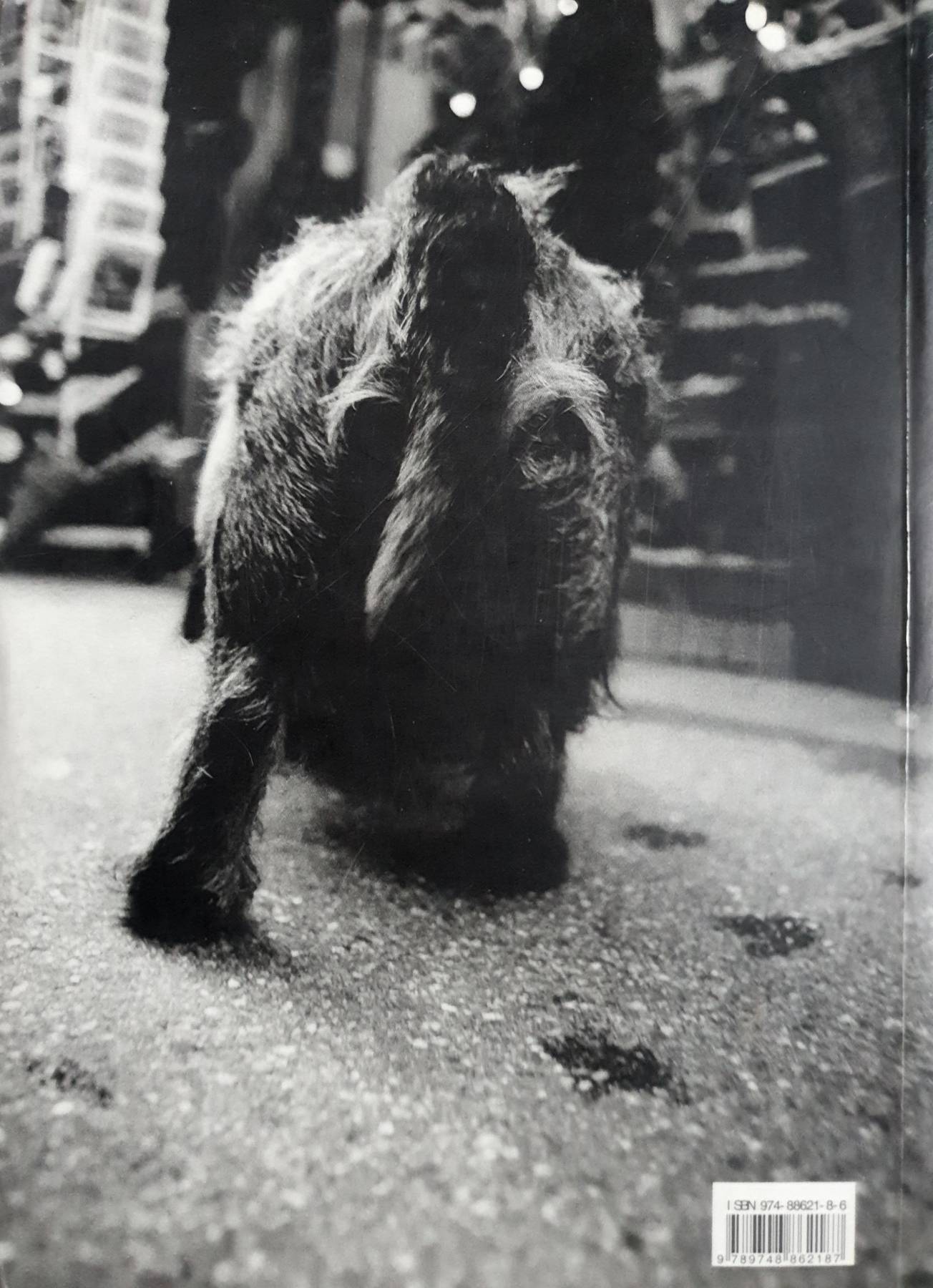 Keep Barking ผู้เขียน: รวมนักเขียน