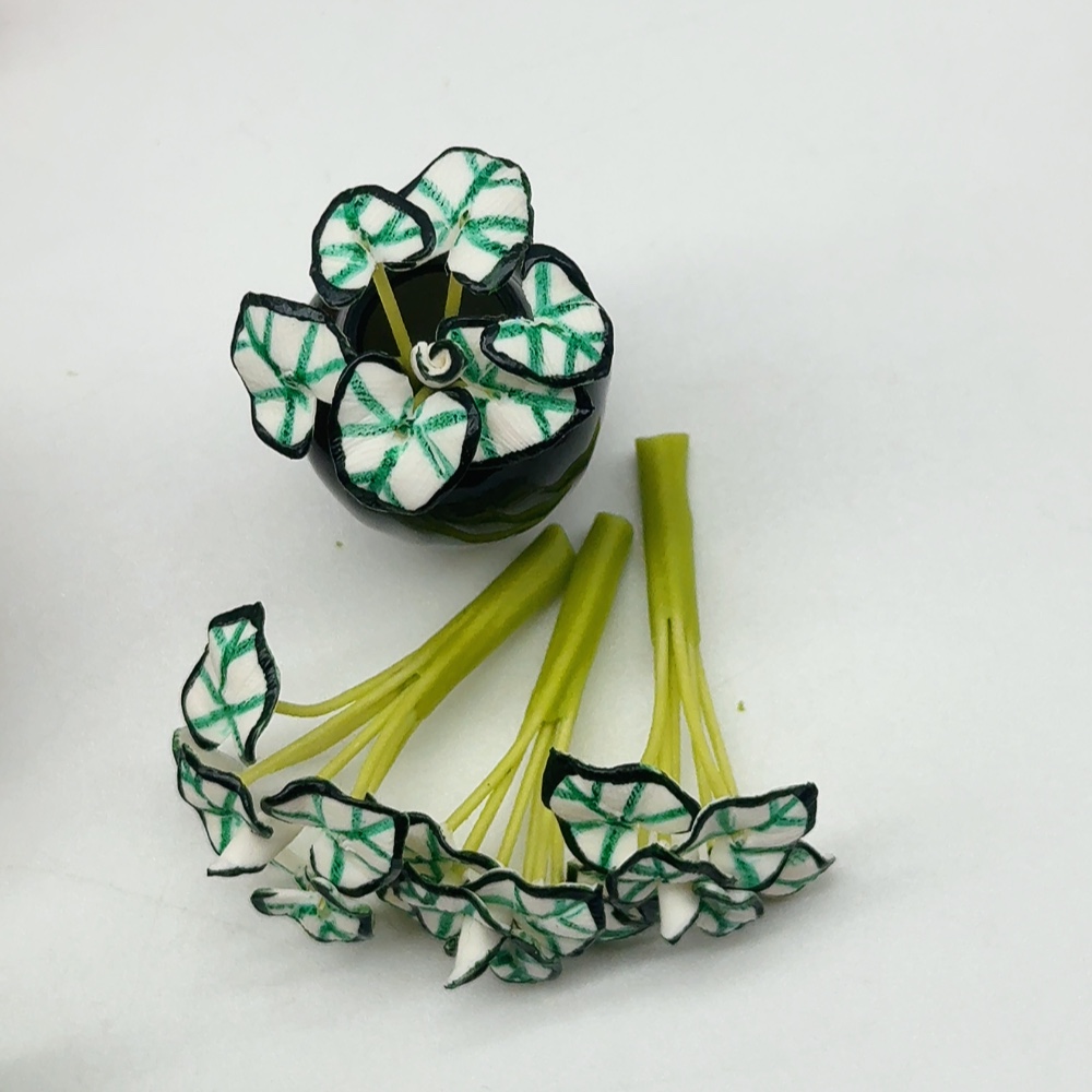 5 pieces Miniature Leaf Caladium (clay)