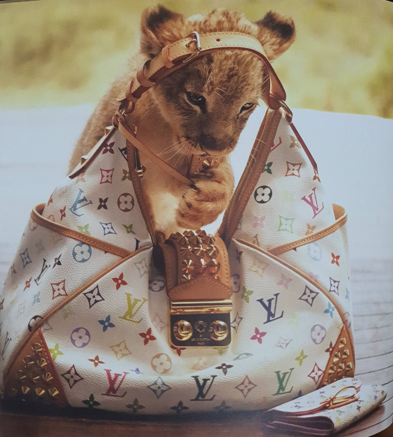 LOUIS VUITTON L'âme du voyage , Softcover