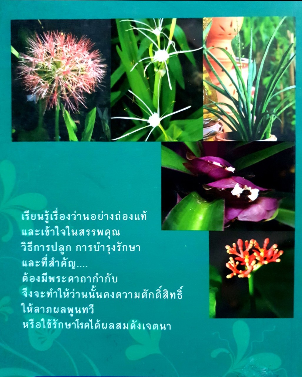 ว่านศักดิ์สิทธิ์ไทย : ทวีศักดิ์ ทวีสินสุข