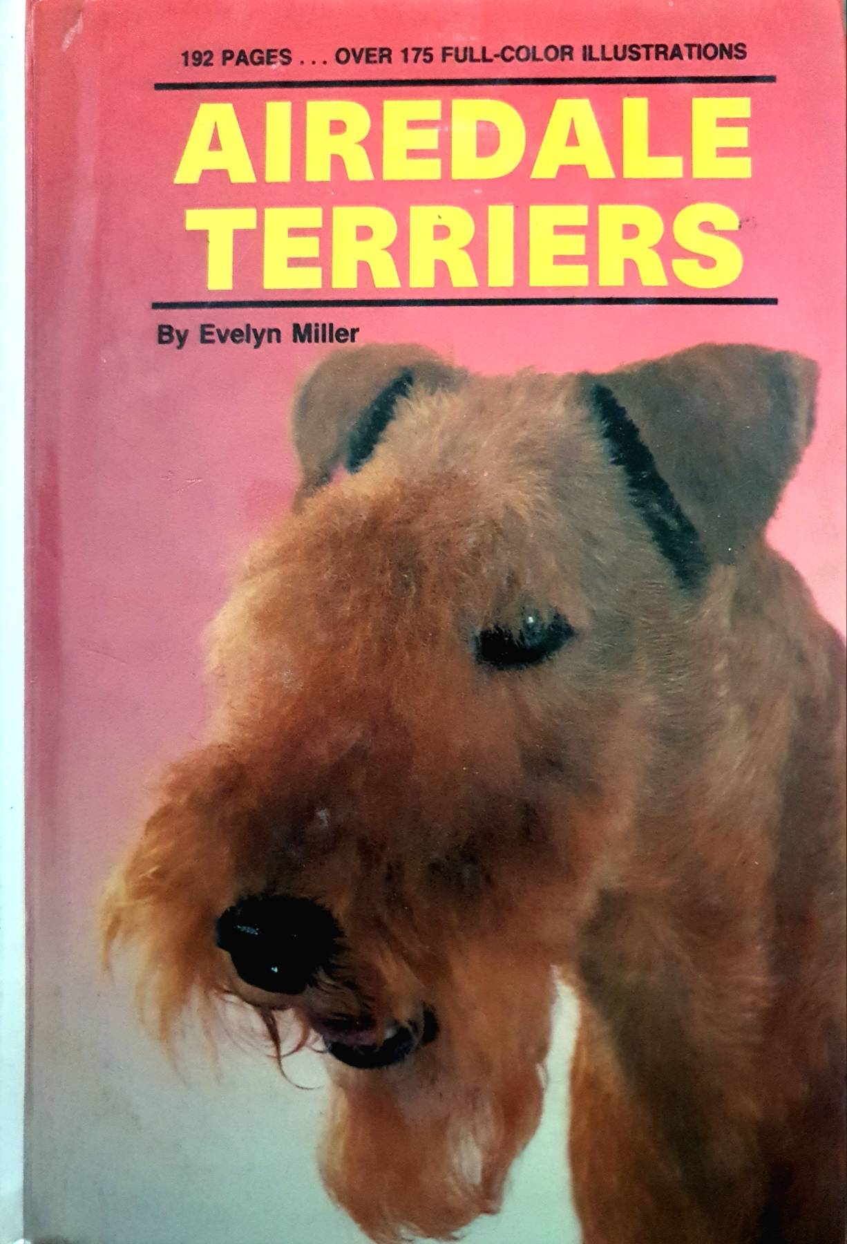 Airedale Terriers