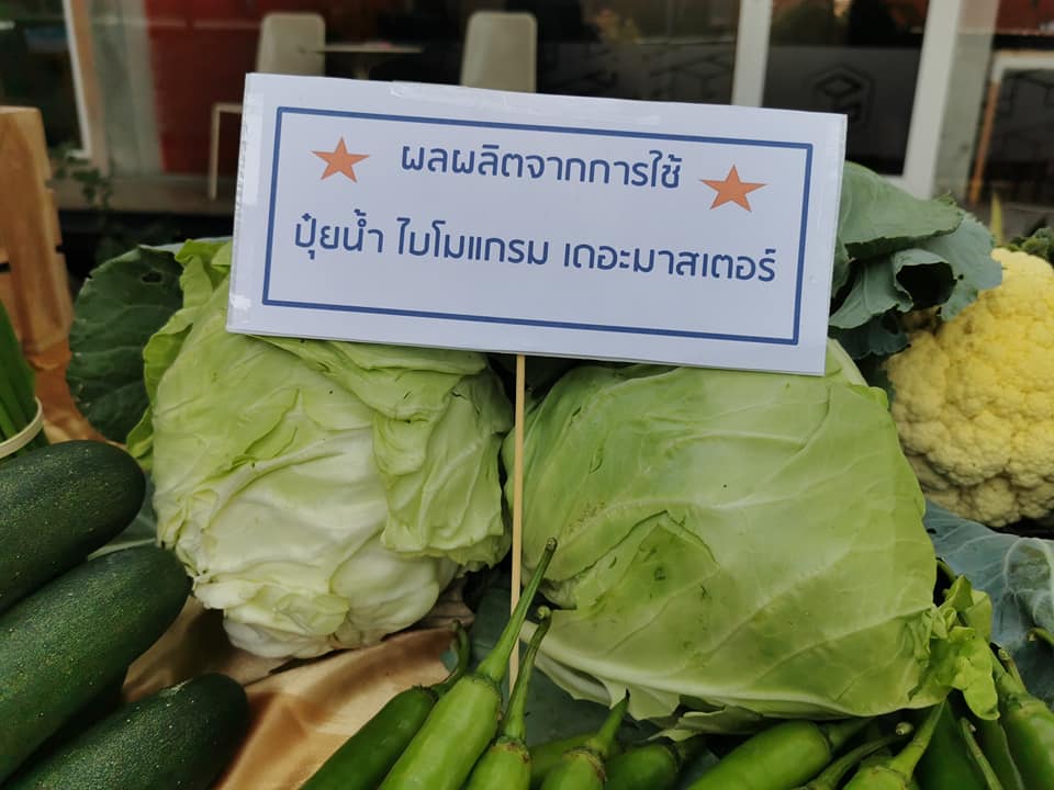 ไบโมแกรน เดอะมาสเตอร์,ปุ๋ยน้ำสูตร 12-4-4,ปุ๋ยน้ำ,ปุ๋ยมาสเตอร์พีซ, เพิ่มผลผลิต ลดต้นทุน ไบโมแกรน เดอะมาสเตอร์,ปุ๋ยน้ำสูตร 12-4-4,ปุ๋ยน้ำ,ปุ๋ยมาสเตอร์พีซ, เพิ่มผลผลิต ลดต้นทุน