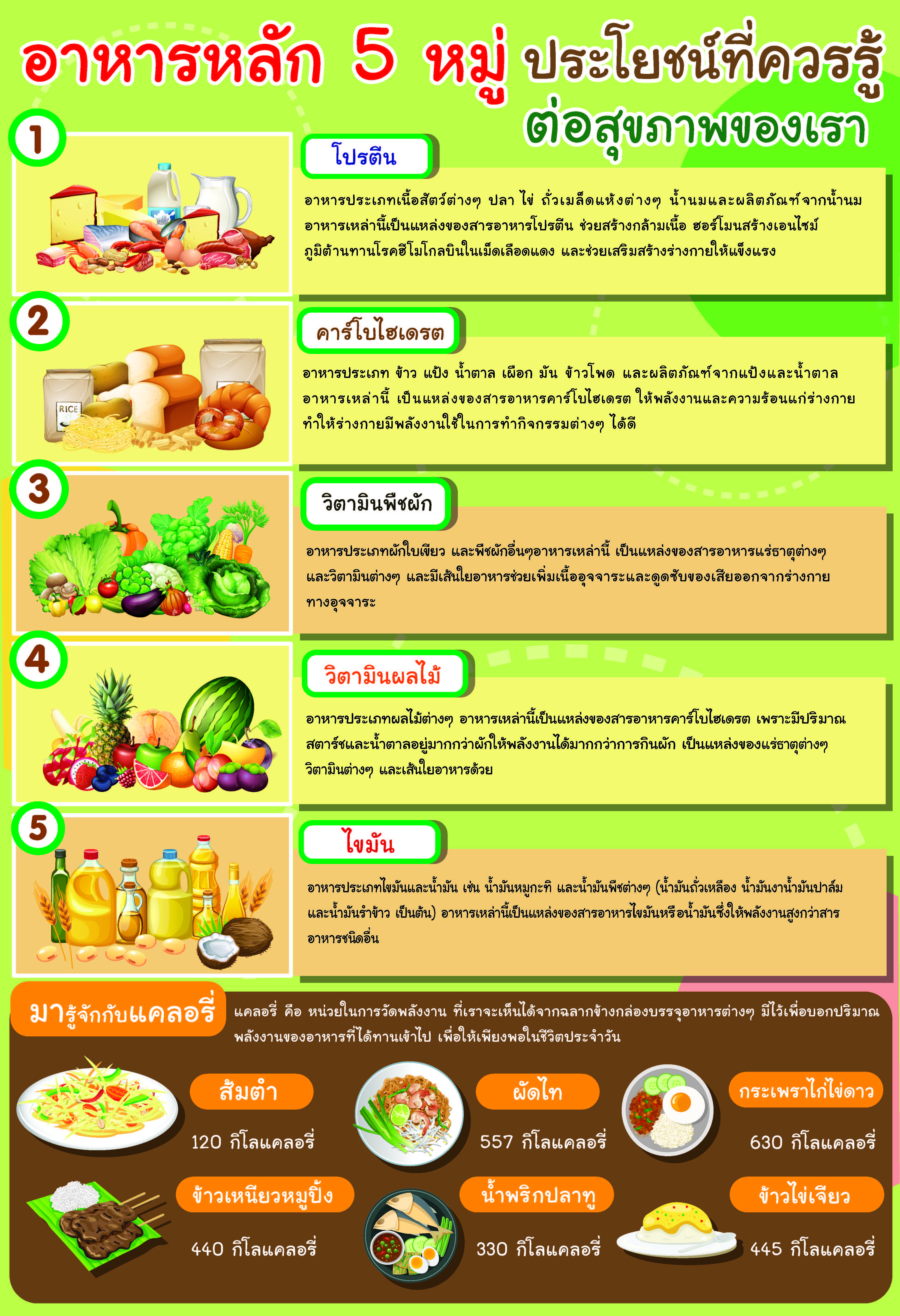 โปสเตอร์ อาหารหลัก 5 หมู่กับแคลลอรี่อาหาร