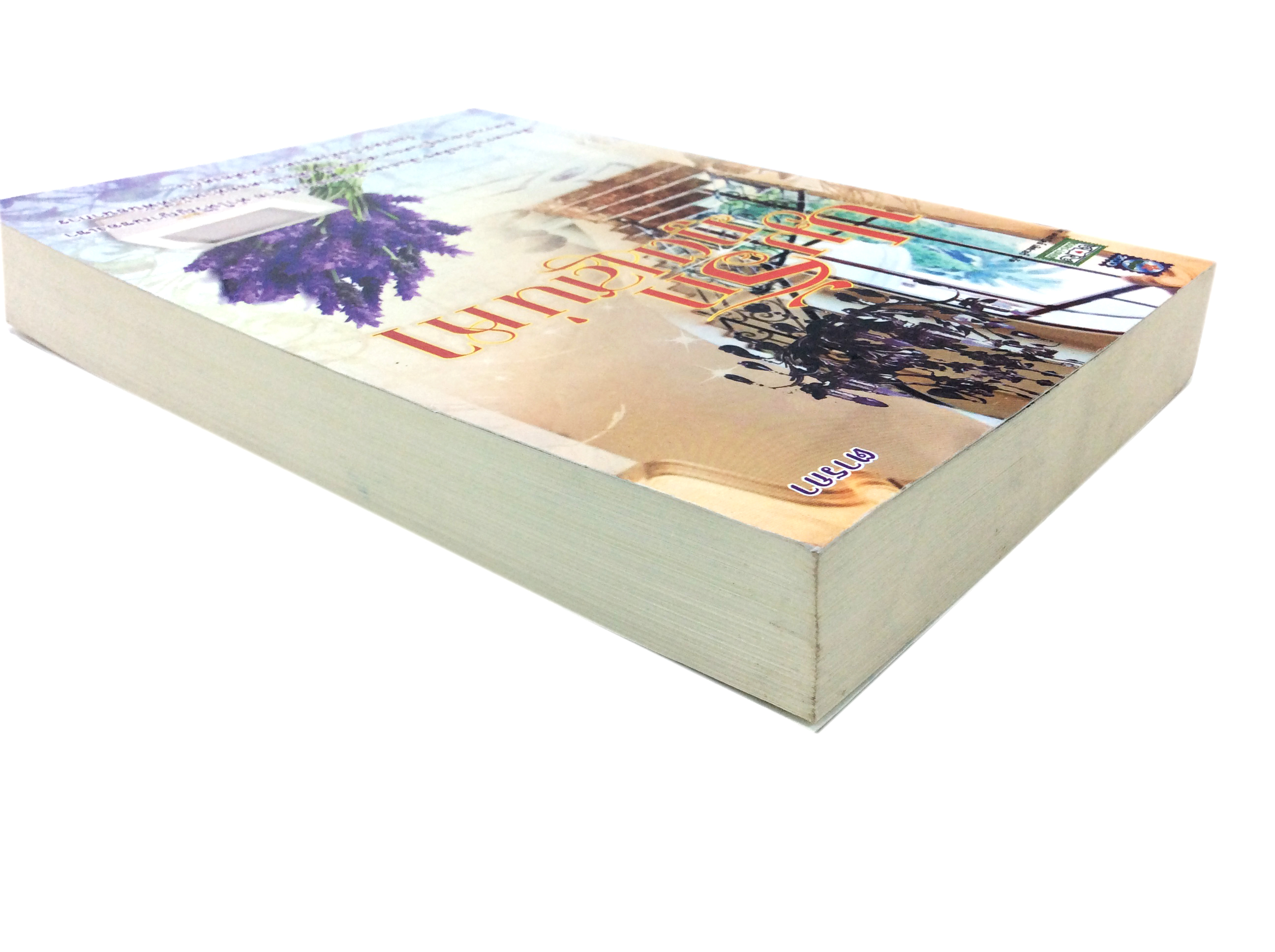 ปมรักภูตเสน่หา นิยาย นิยายลดราคา หนังสือนิยาย