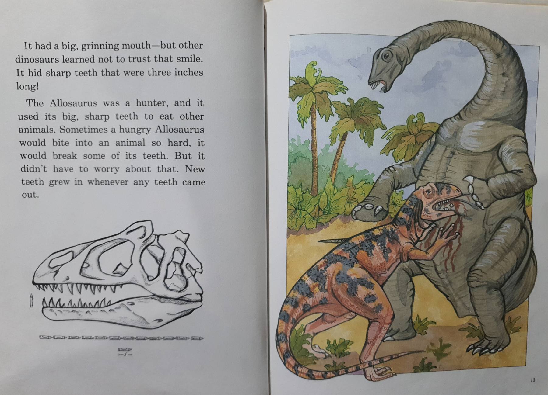 Allosaurus (Dinosaur Books) By The Child's World , 1988