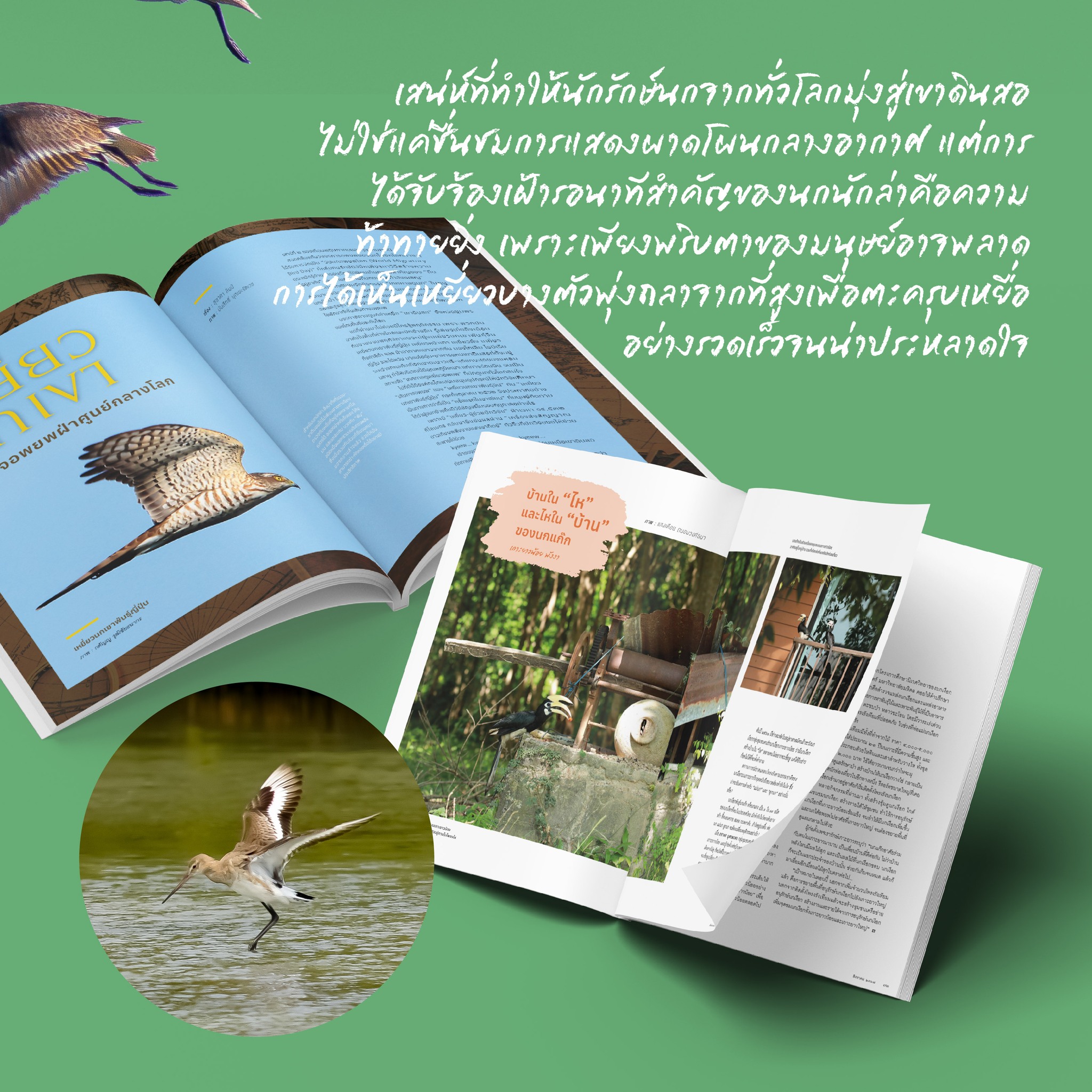 นิตยสารสารคดี ฉบับ 473 รักษ์นกนอกเขตอนุรักษ์