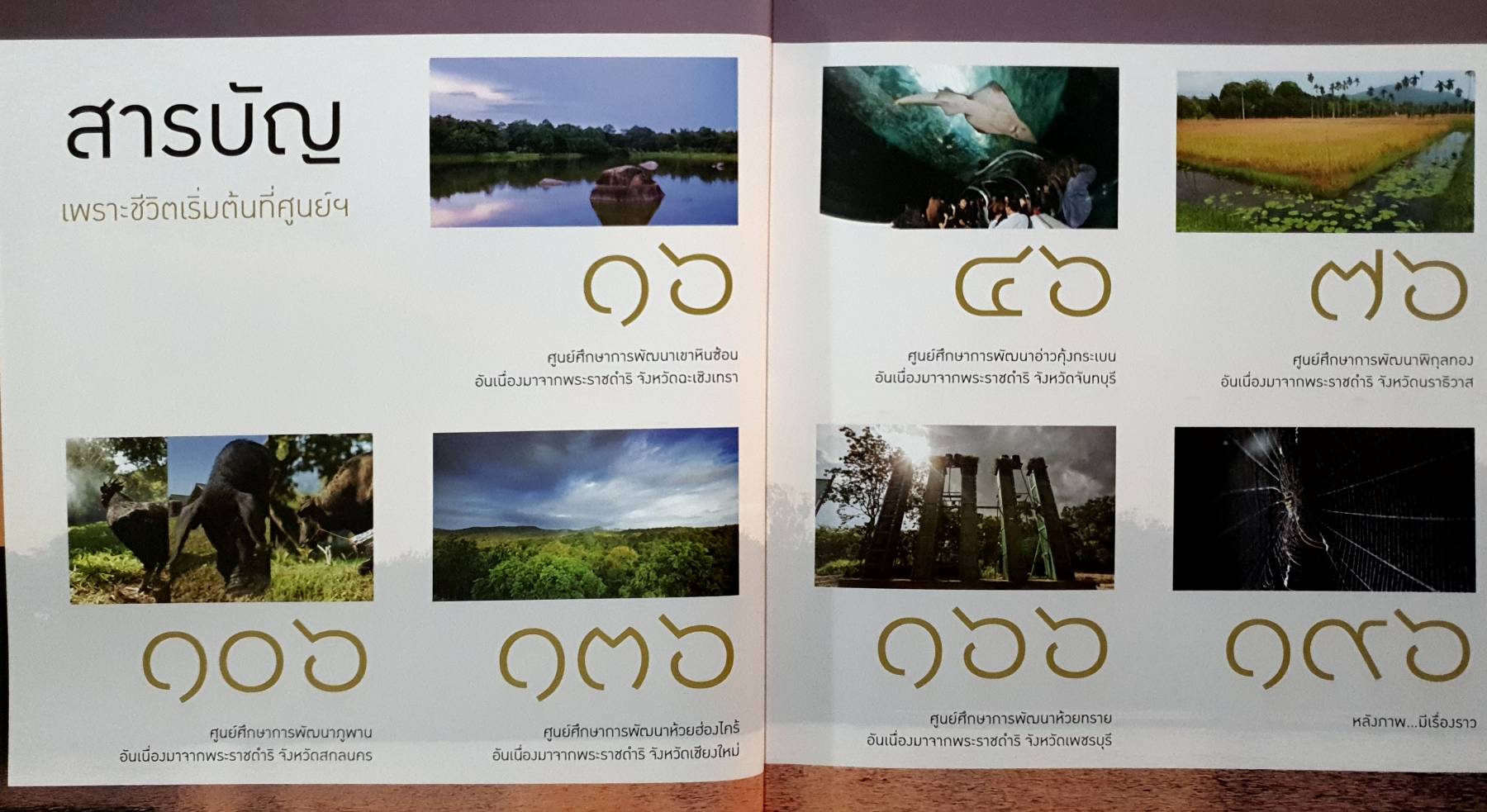 ชีวิตที่เริ่มต้นจากศูนย์