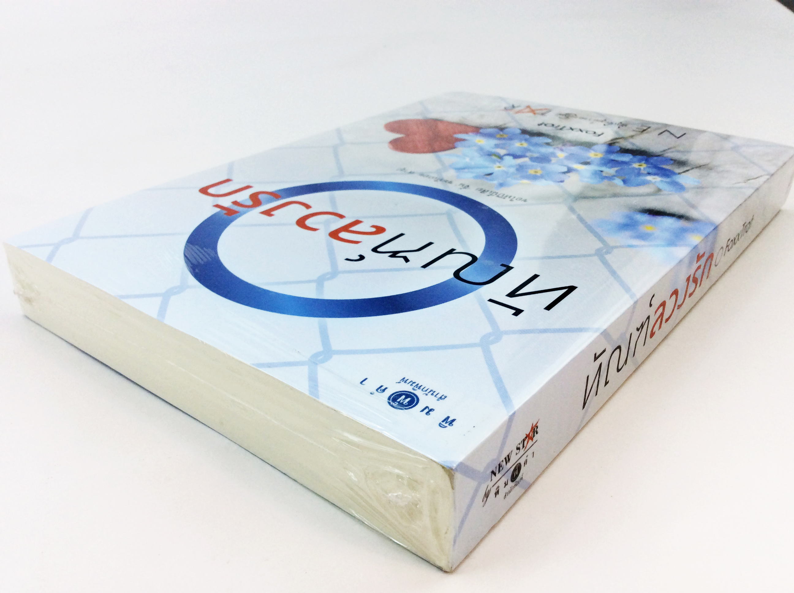 ทัณฑ์ลวงรัก นิยาย นิยายลดราคา หนังสือ นิยาย