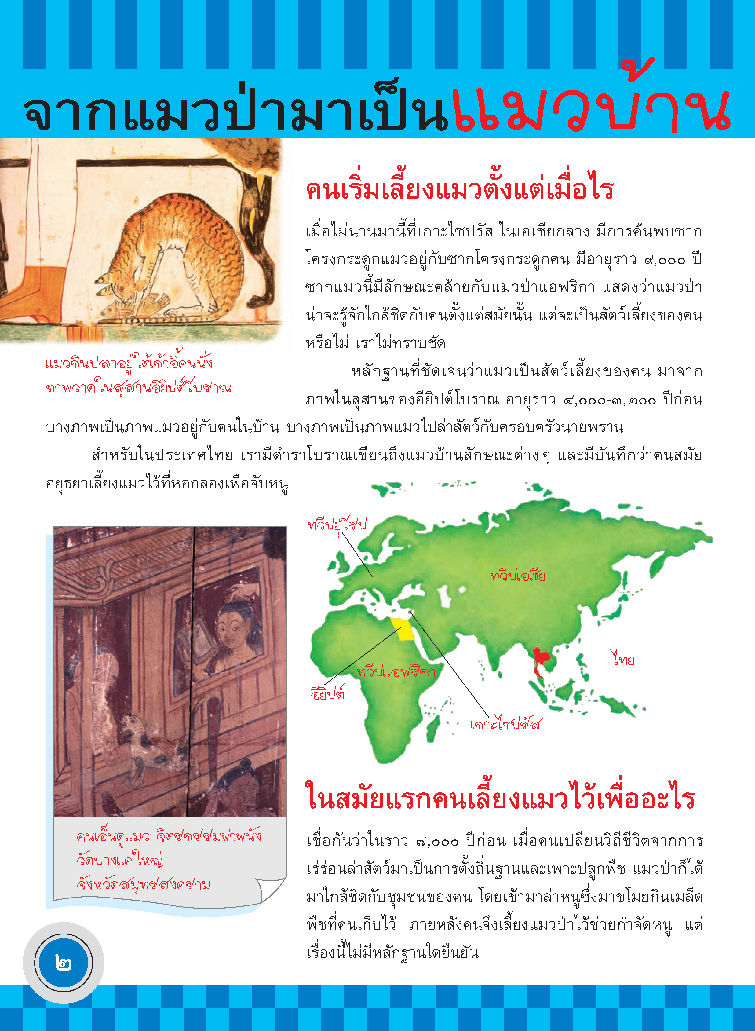 ภูมิใจไทย-แมวไทย(อาเซียน)