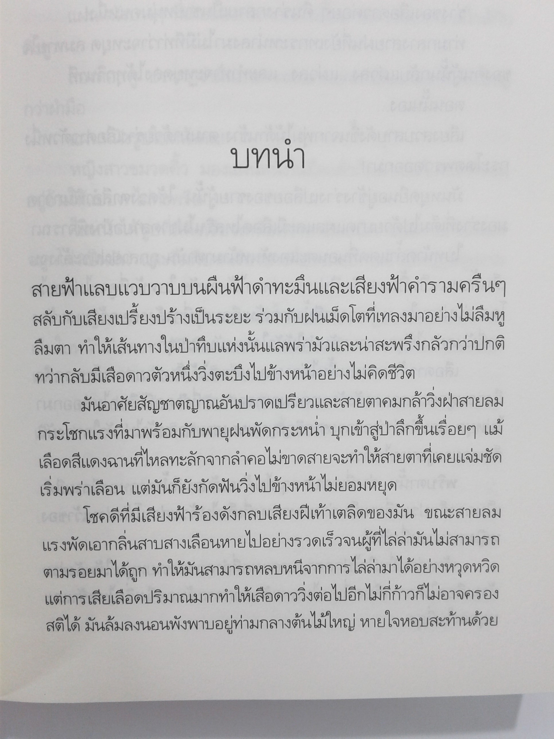 สาปรัตติกาล นิยาย นิยายโรแมนติก