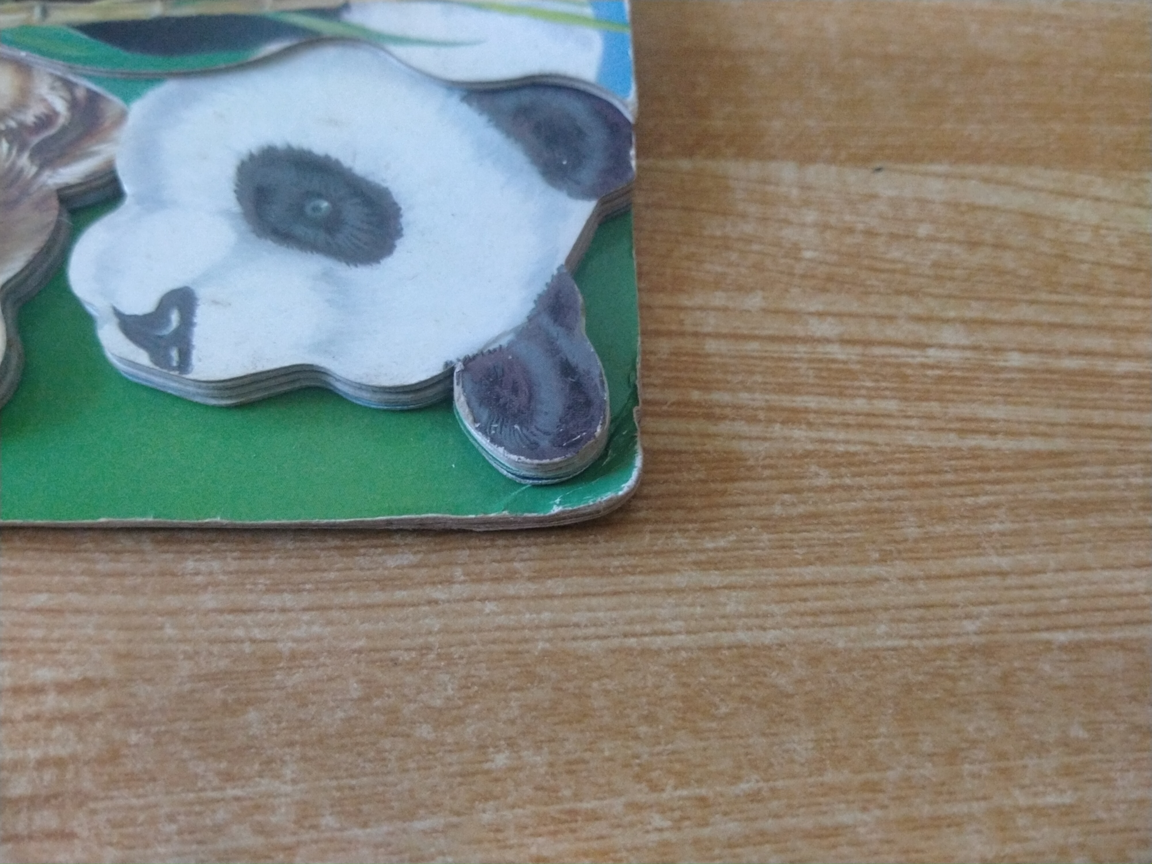 สัตว์เลี้ยงลูกด้วยนม อยู่ที่ปลายนิ้วของท่าน