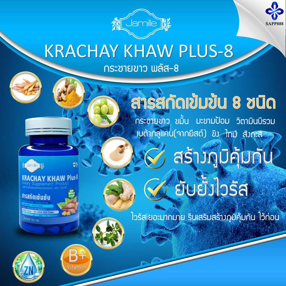 Krachay Khaw Plus8 กระชายขาว พลัส 8 เสริมสร้างภูมิคุ้มกัน ยับยั้งไวรัส