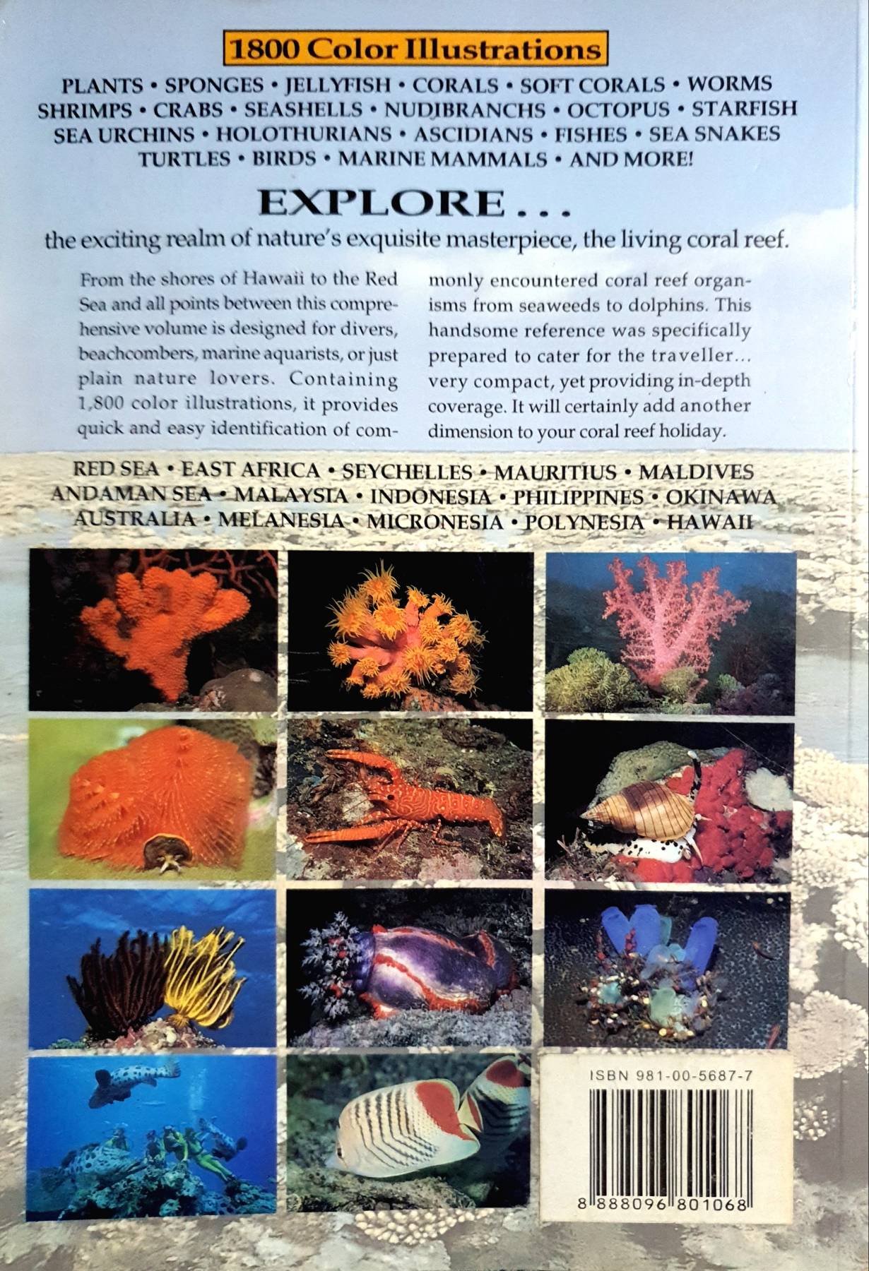 Indo-Pacific Coral Reef Field Guide