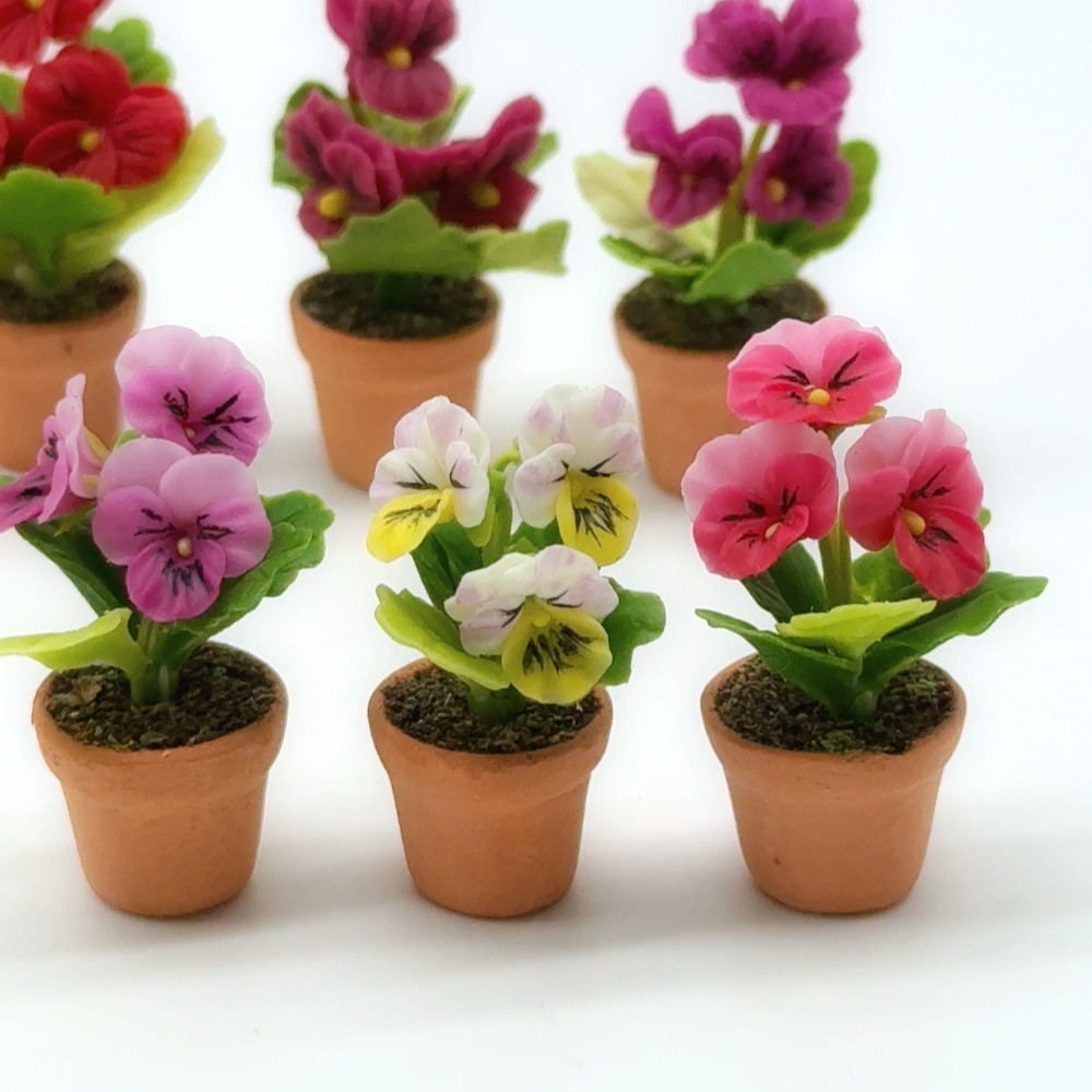 3 pieces Miniature Pansy in pot 1.0 cm