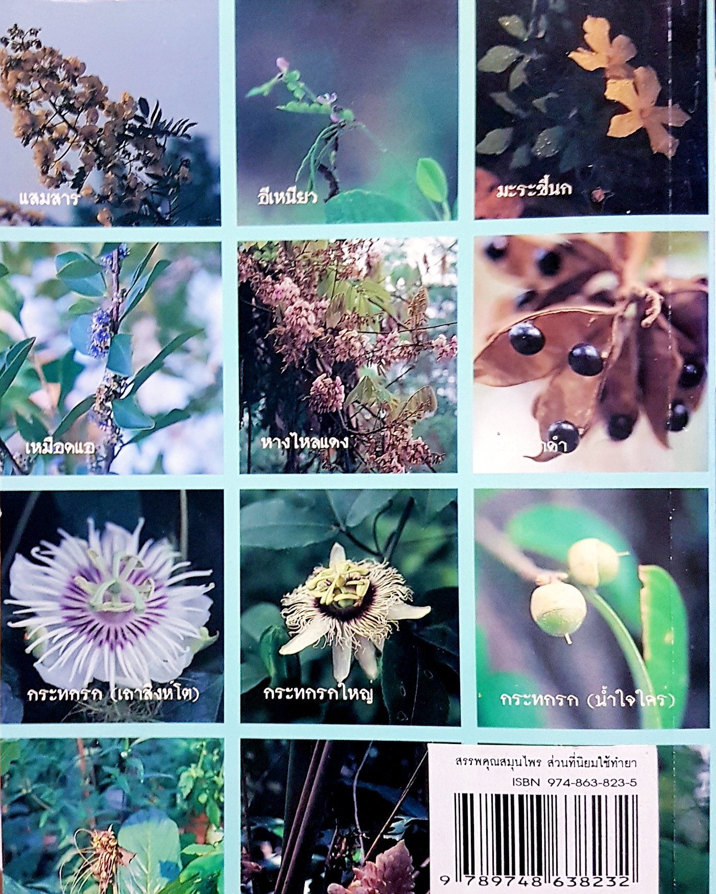 สรรพคุณสมุนไพร ส่วนที่นิยมใช้ทำยา...วุฒิ วุฒิธรรมเวช