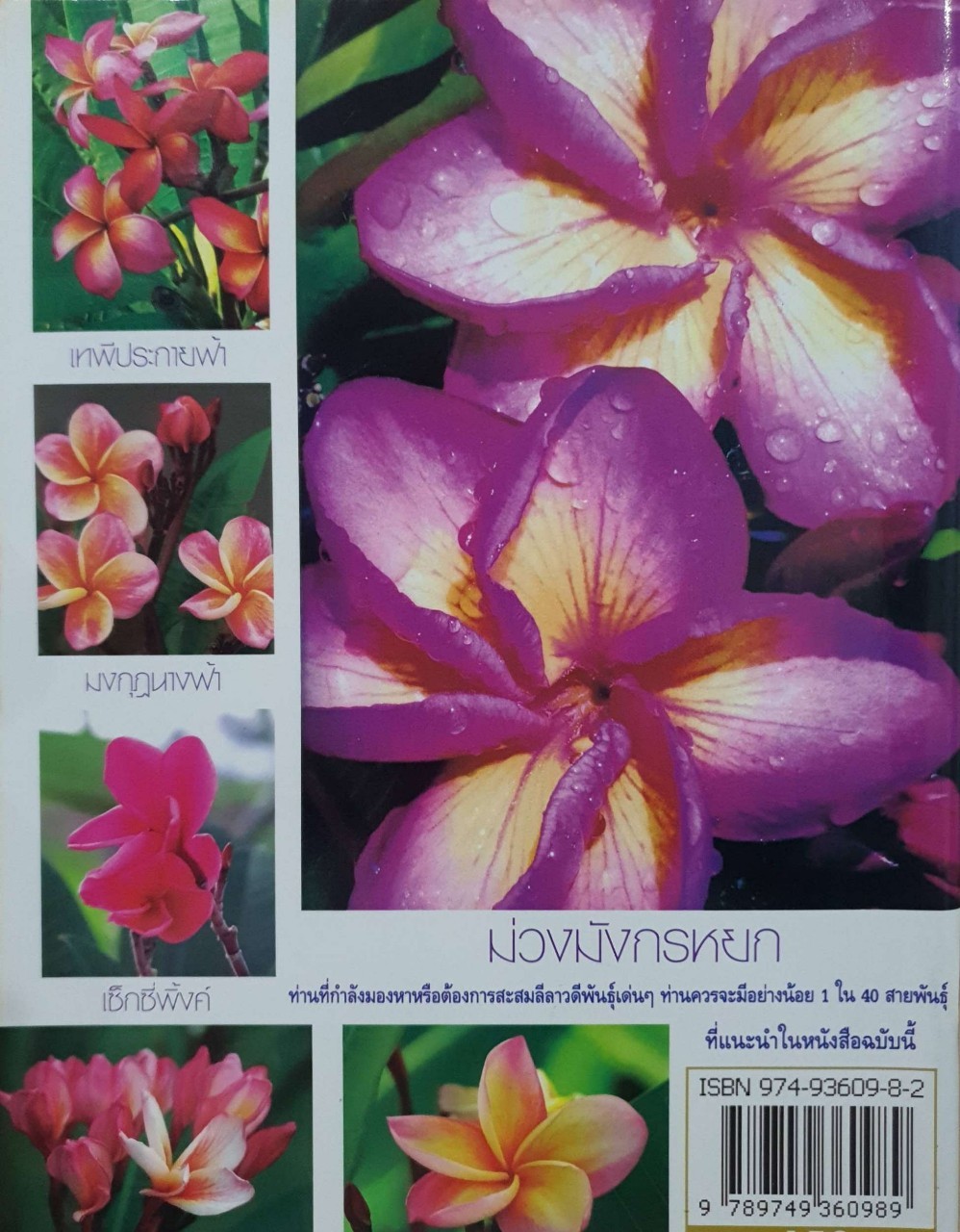 TOP TEN ดาวเด่น ลีลาวดี : ณญ ณัฐจักร์