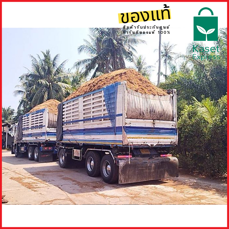จำหน่ายขุยมะพร้าว มะพร้าวสับ รถพ่วง รถหกล้อ รถกระบะ จัดส่งทั่วประเทศ