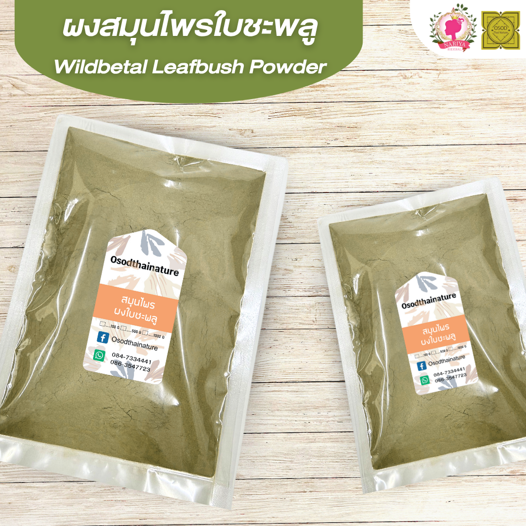 ผงใบชะพลู (Wildbetal Leafbush Powder) ขนาด 500 1000 กรัม ใบชะพลู บดละเอียด สมุนไพร แท้100% FG-HBP-053