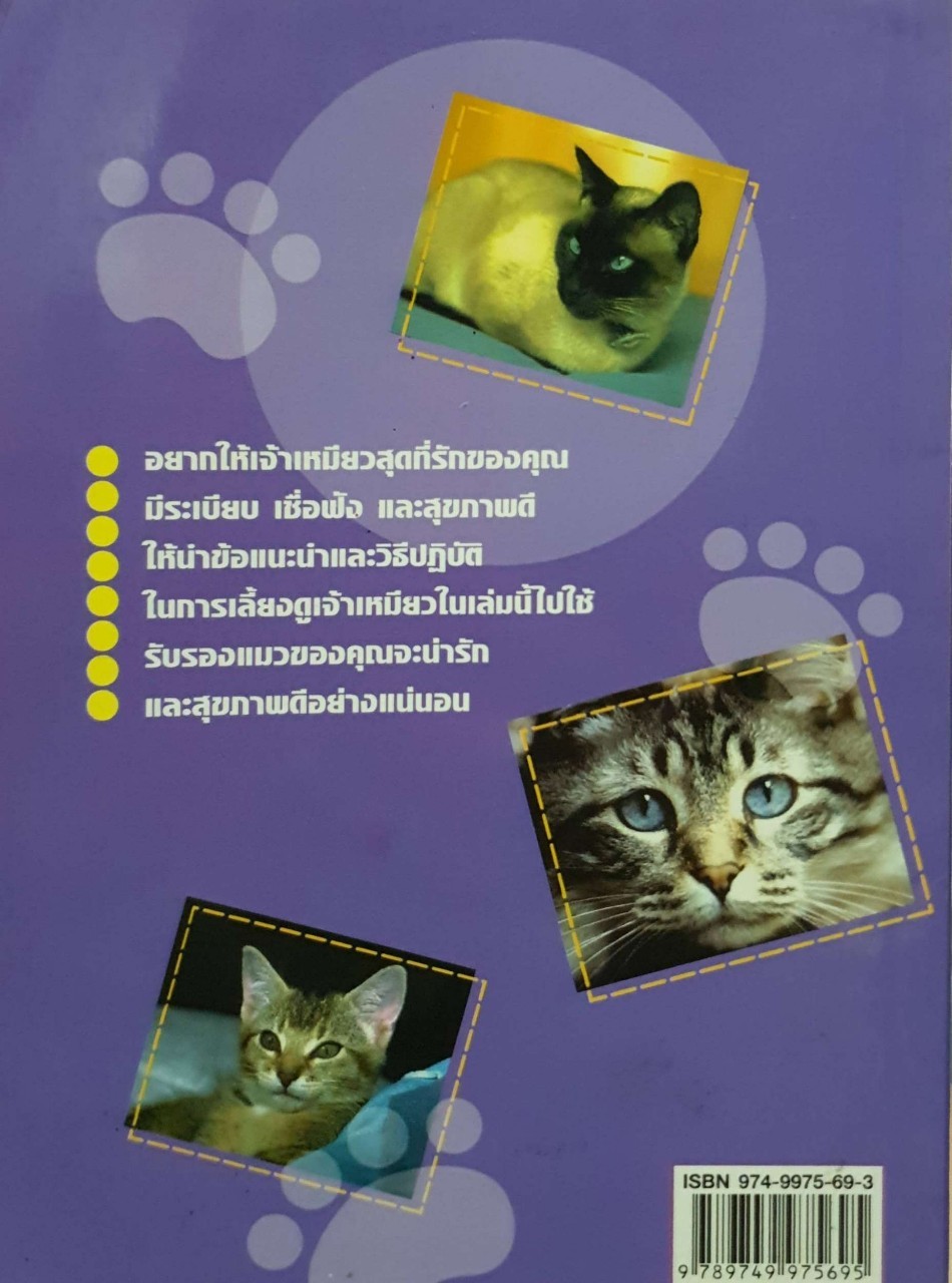 คู่มือเลี้ยงแมว