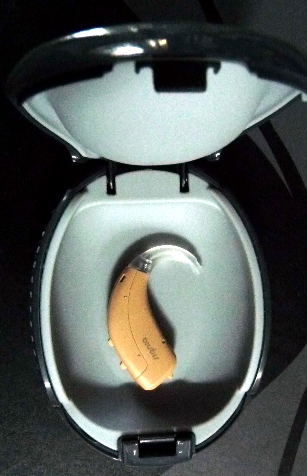 เครื่องช่วยฟัง Signia Fast P หูตึงเล็กน้อย > ปานกลาง > มาก