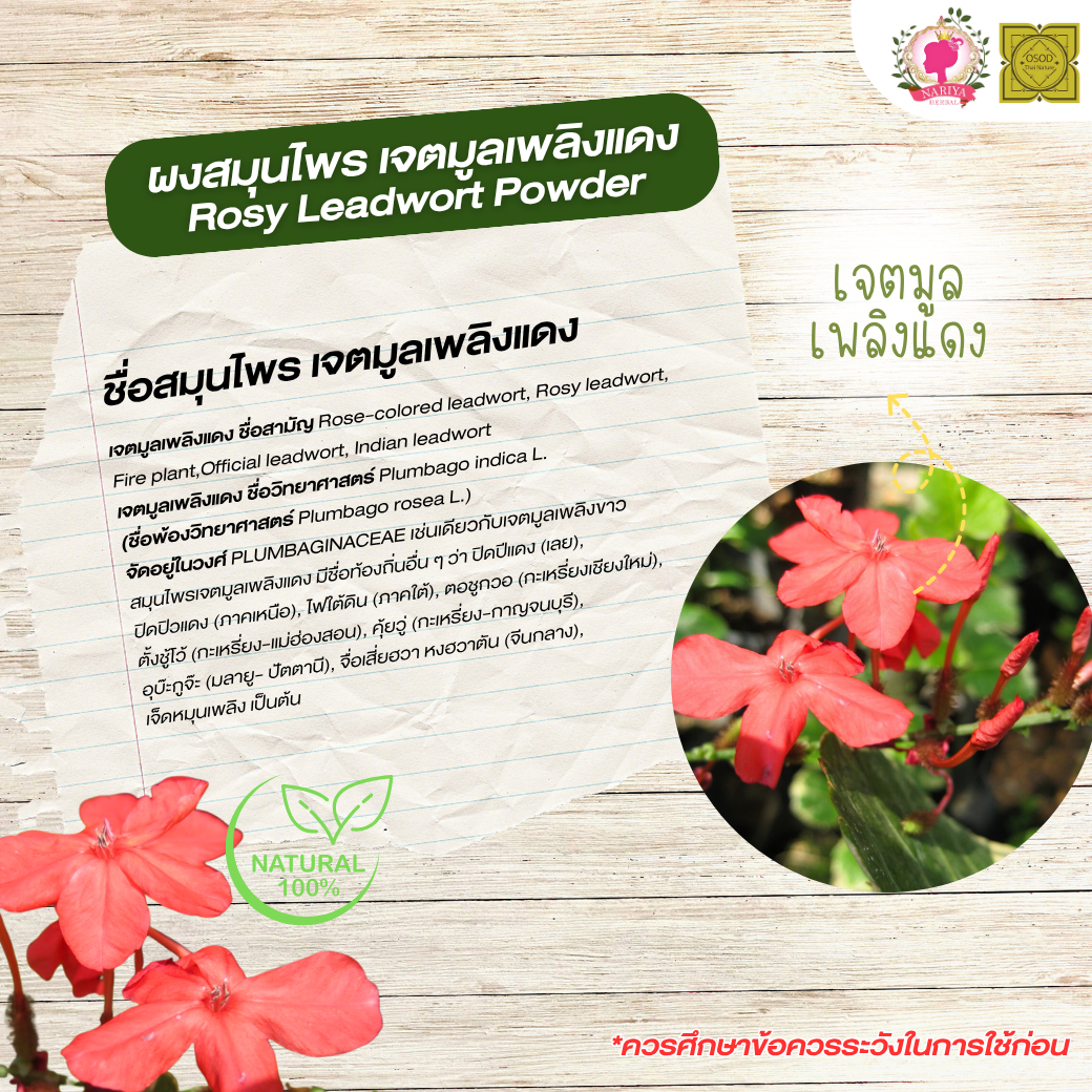 ผงเจตมูลเพลิงแดง (Rosy Leadwort Powder) ขนาด 500 1000 กรัม เจตมูลเพลิงแดง บดละเอียด สมุนไพร แท้ 100% FG-HBP-027