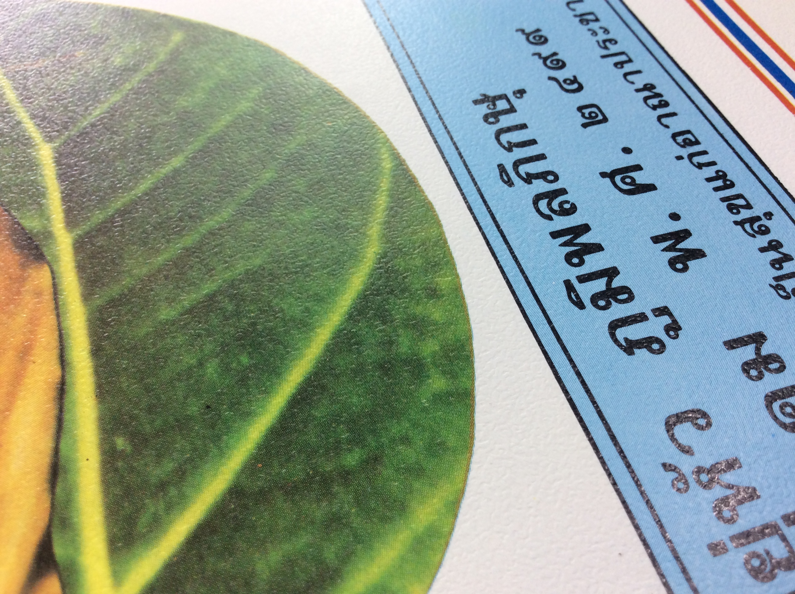 รูปทรงผนวชรัชกาลที่ 9 รูปพิมพ์เก่า รูปถ่ายเก่า รูปหายาก สิ่งพิมพ์เก่า รูปสะสม รูปร.9