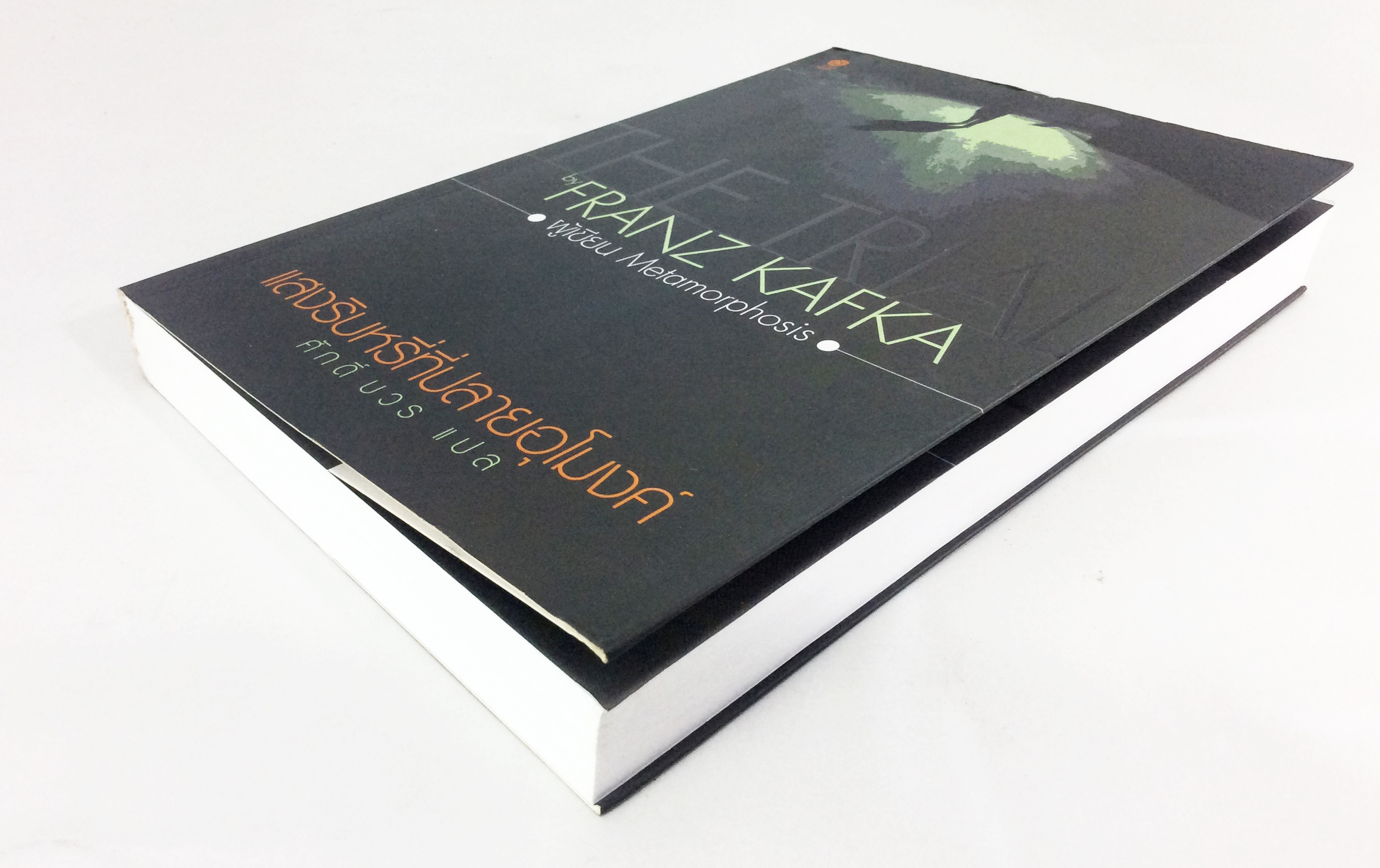 แสงริบหรี่ที่ปลายอุโมงค์ The Trial By Franz Kafka วรรณกรรม หนังสือแปล นวนิยาย หนังสือ หนังสือ [คุ้มอักษรไทย]
