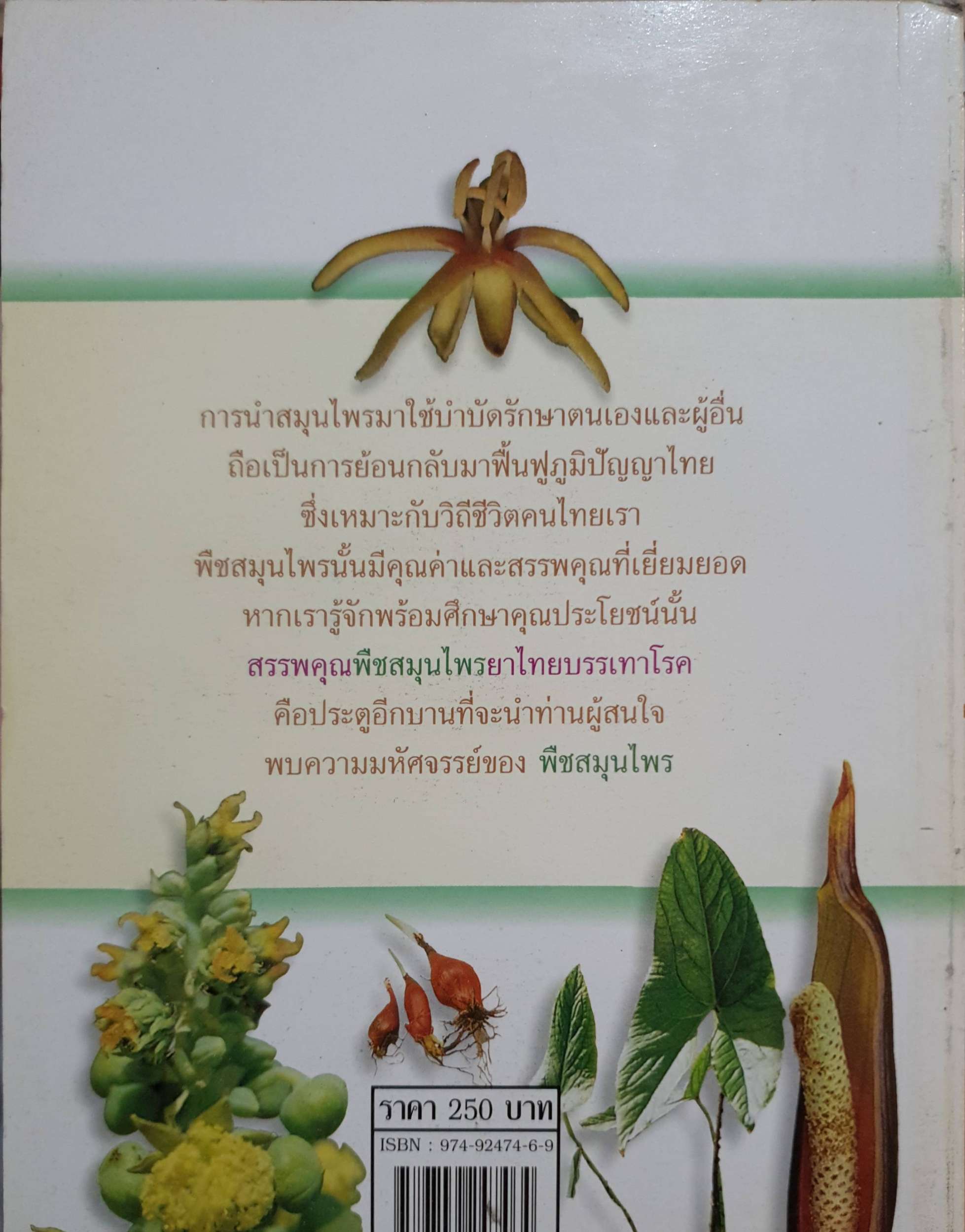 สสรรพคุณพืชสมุนไพร ยาไทยบรรเทาโรค / สุธี วรคีรีนิมิตร