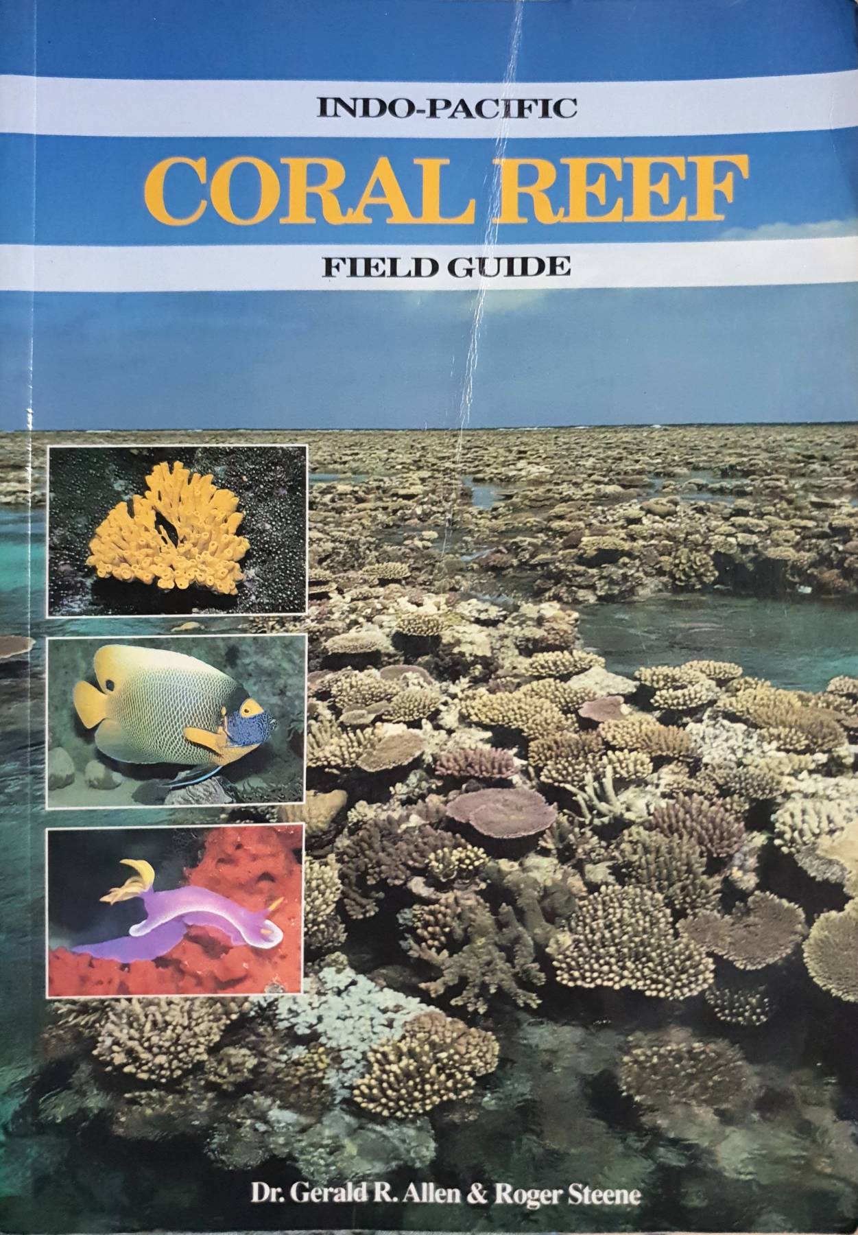 Indo-Pacific Coral Reef Field Guide